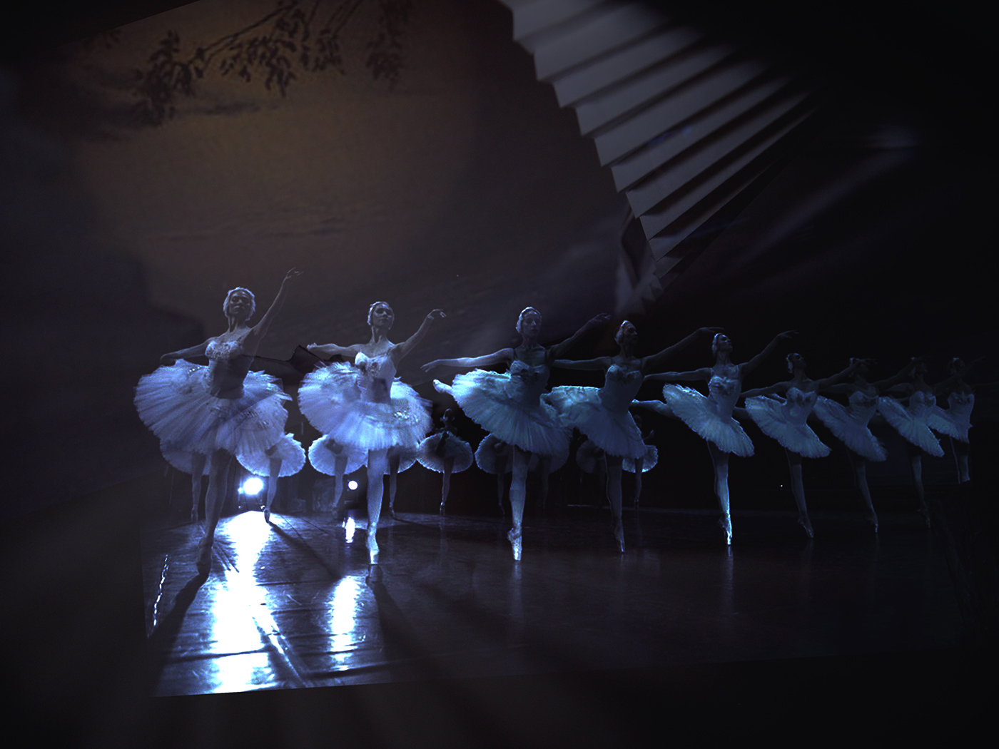 Swan Lake inspiration Form study concept development ballet Performance Stage set theater 