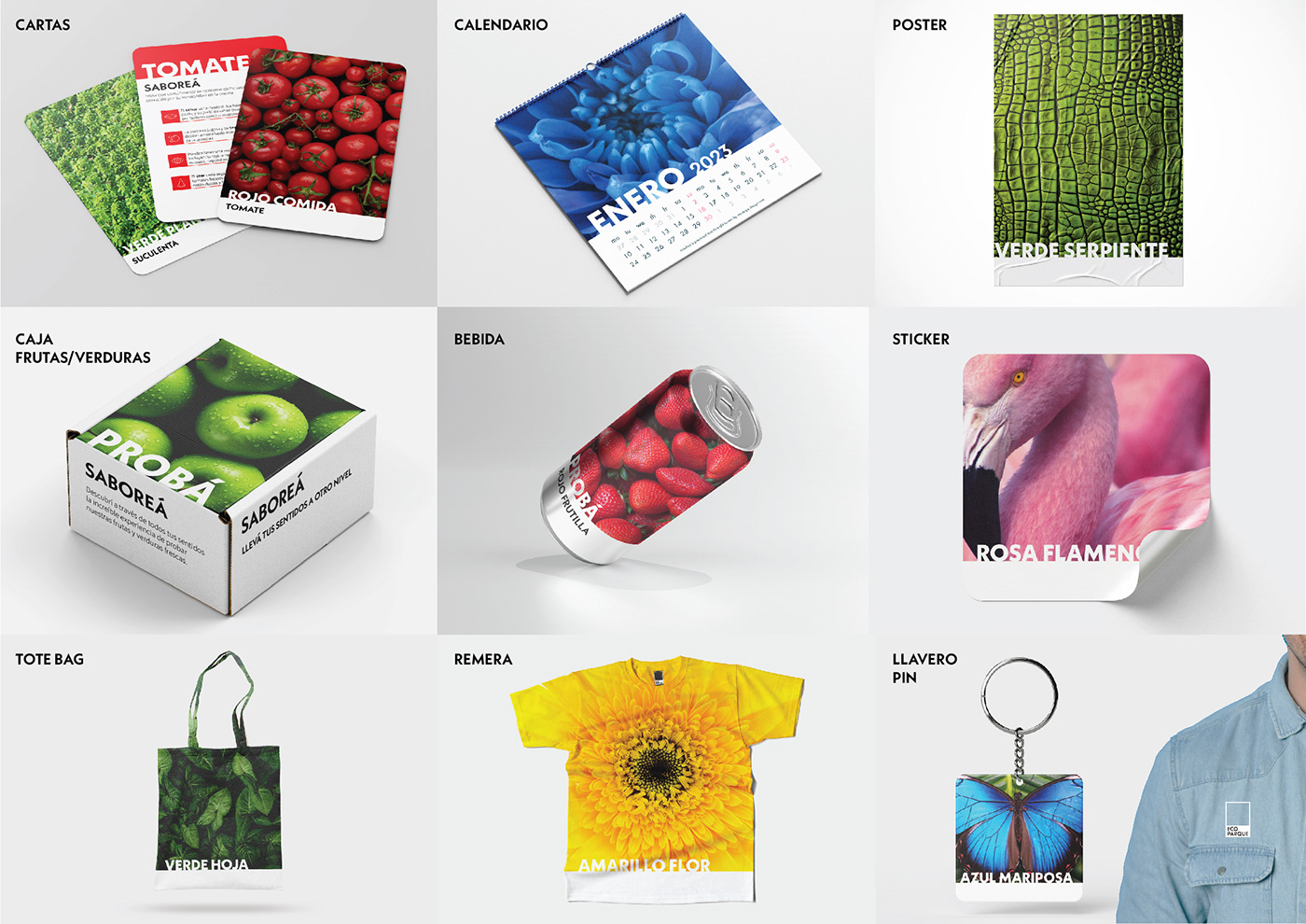 brand identity system graphic design  Nature Persuasive