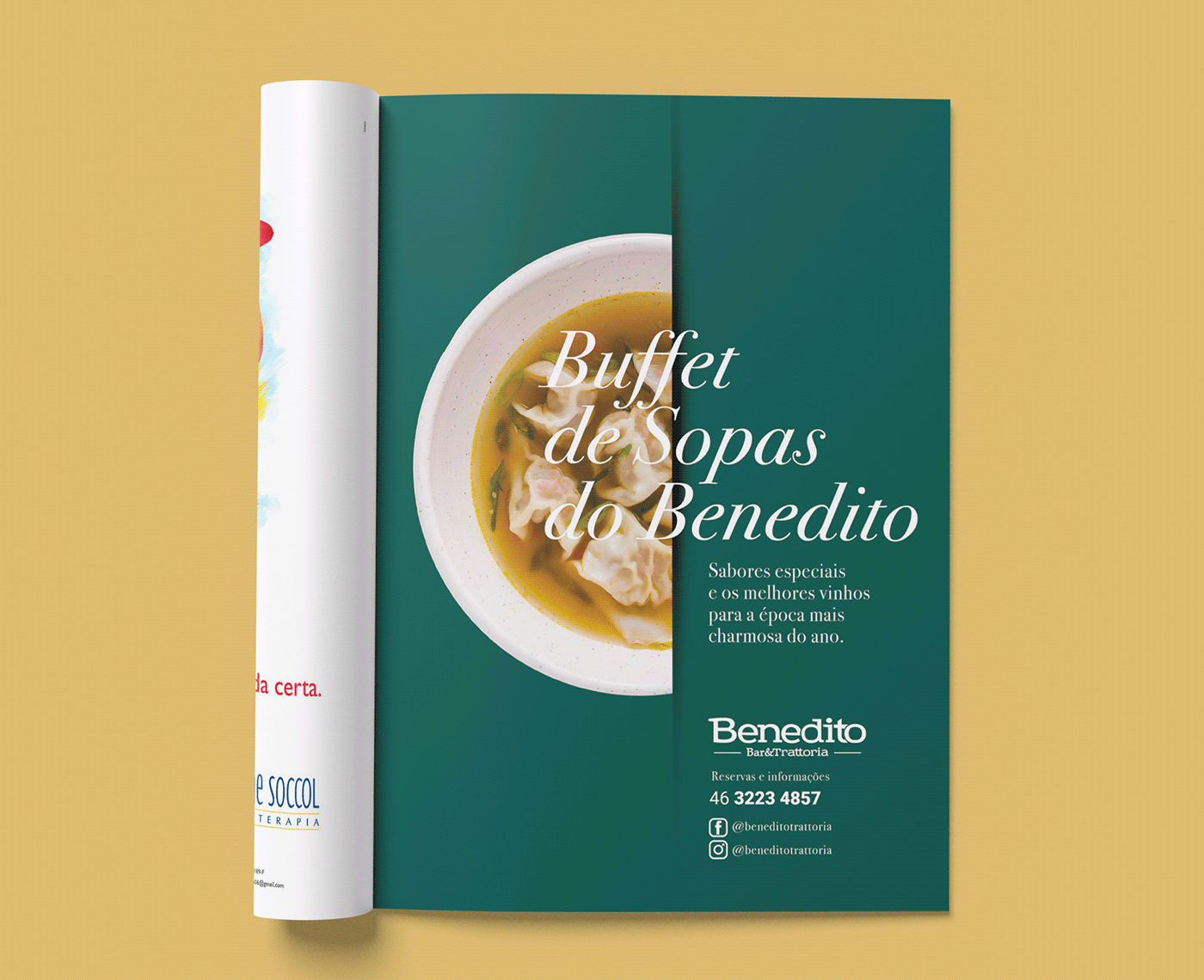 Brand Design brand identity brochure design brochures design design gráfico magazines marketing   visual identity