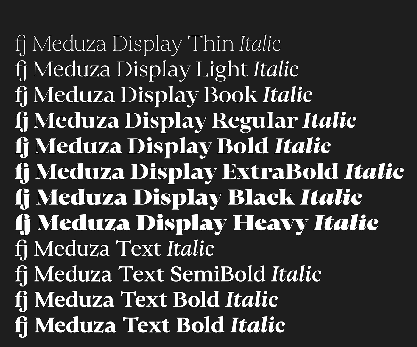 contemporary Didone Display text typedesign typefaces typographic system typography  