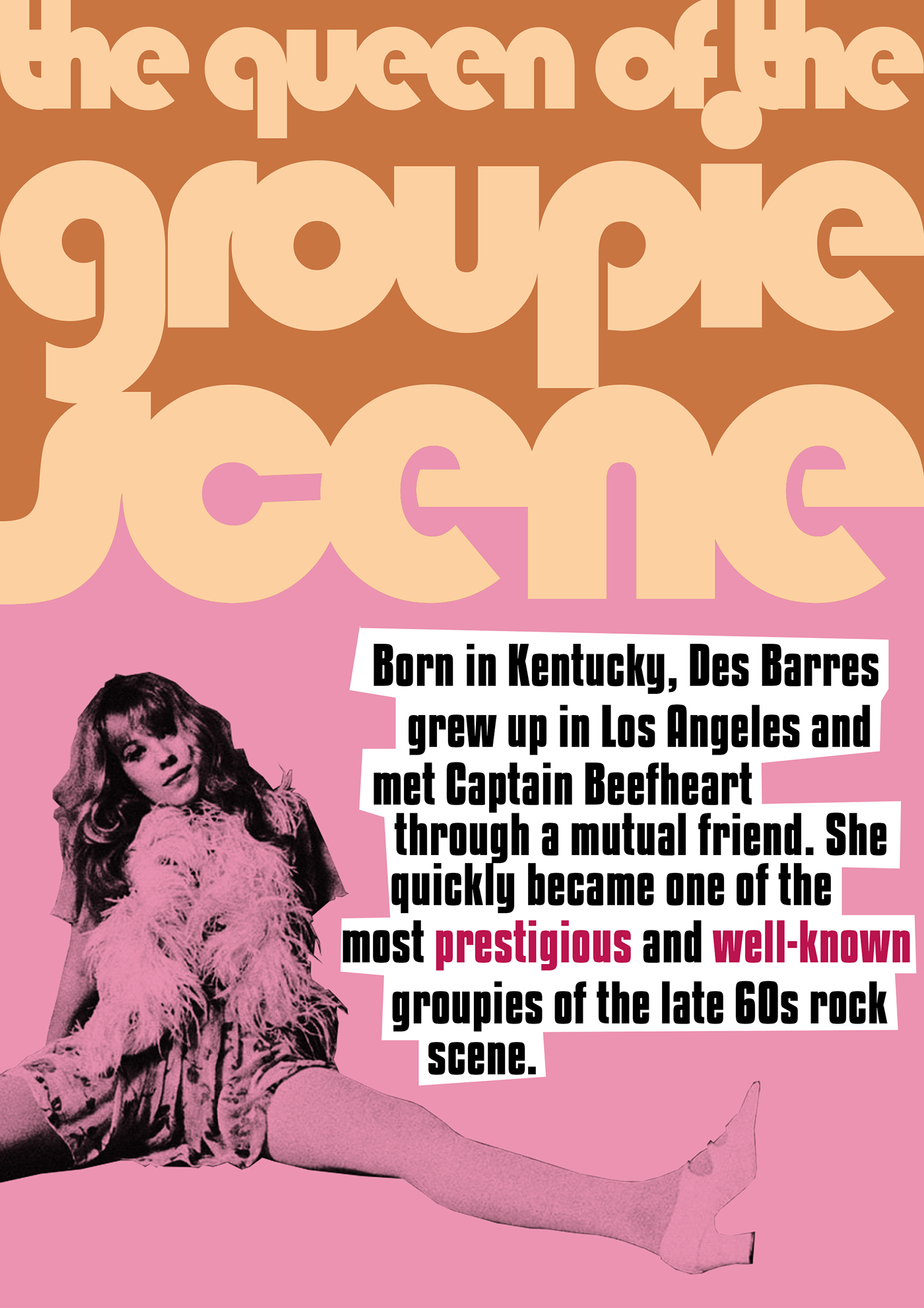 groupie Zine  magazine Groupies 60s 70s music rock music 1960s 1970s