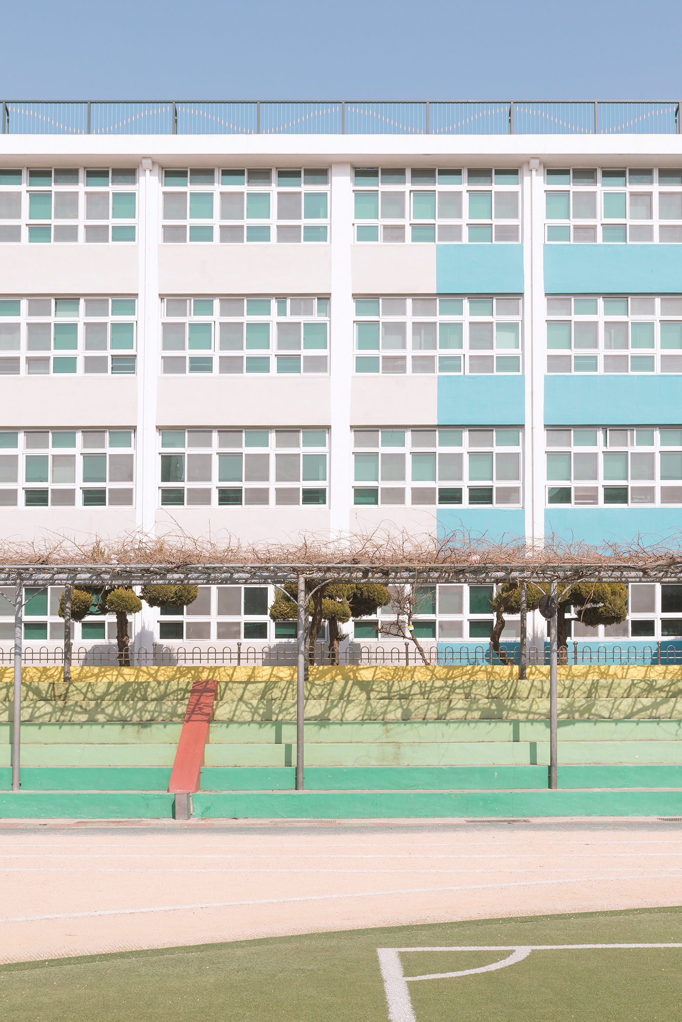 Adobe Portfolio Korea seoul Busan Schools playgrounds asia pastel football trees fine art