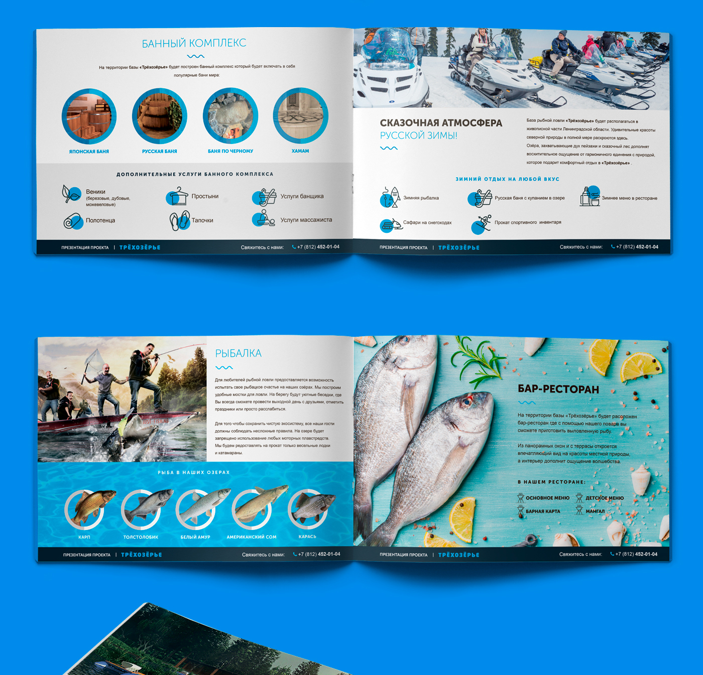 presentation Booklet graphic design  marketing   kit creative digital art graphics brochure