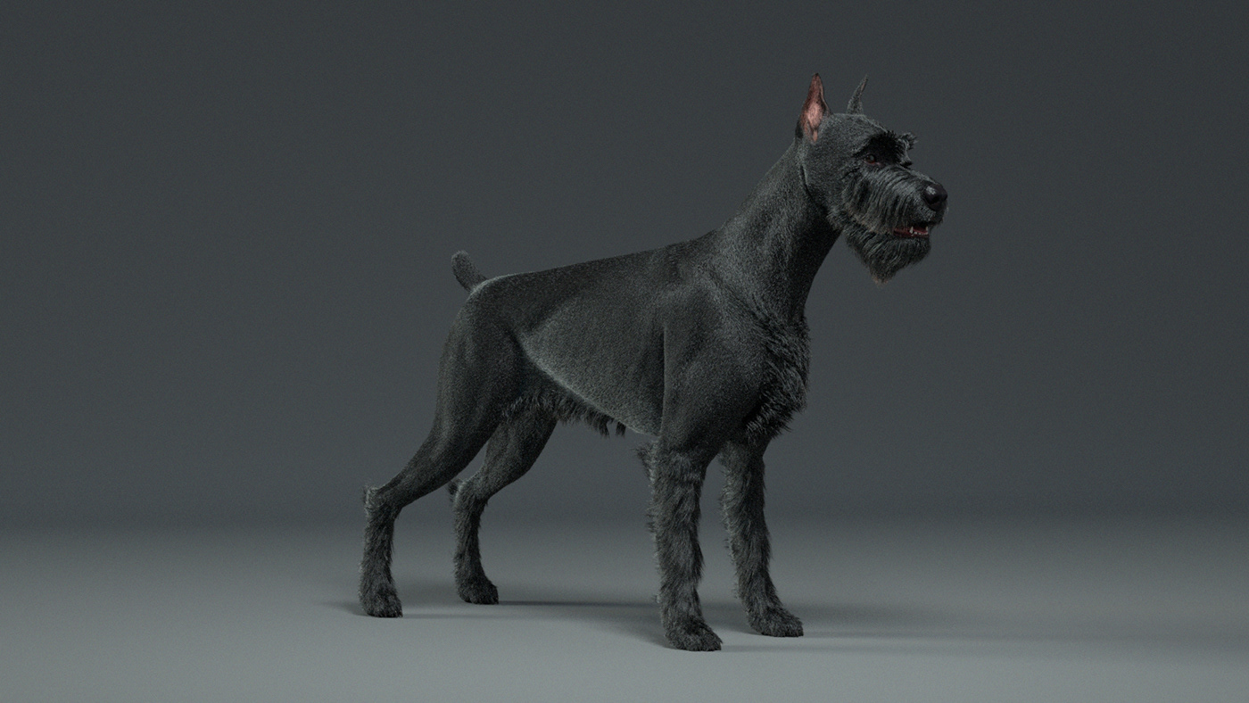 animal Character grooming Zbrush 3D CGI houdini painter vfx