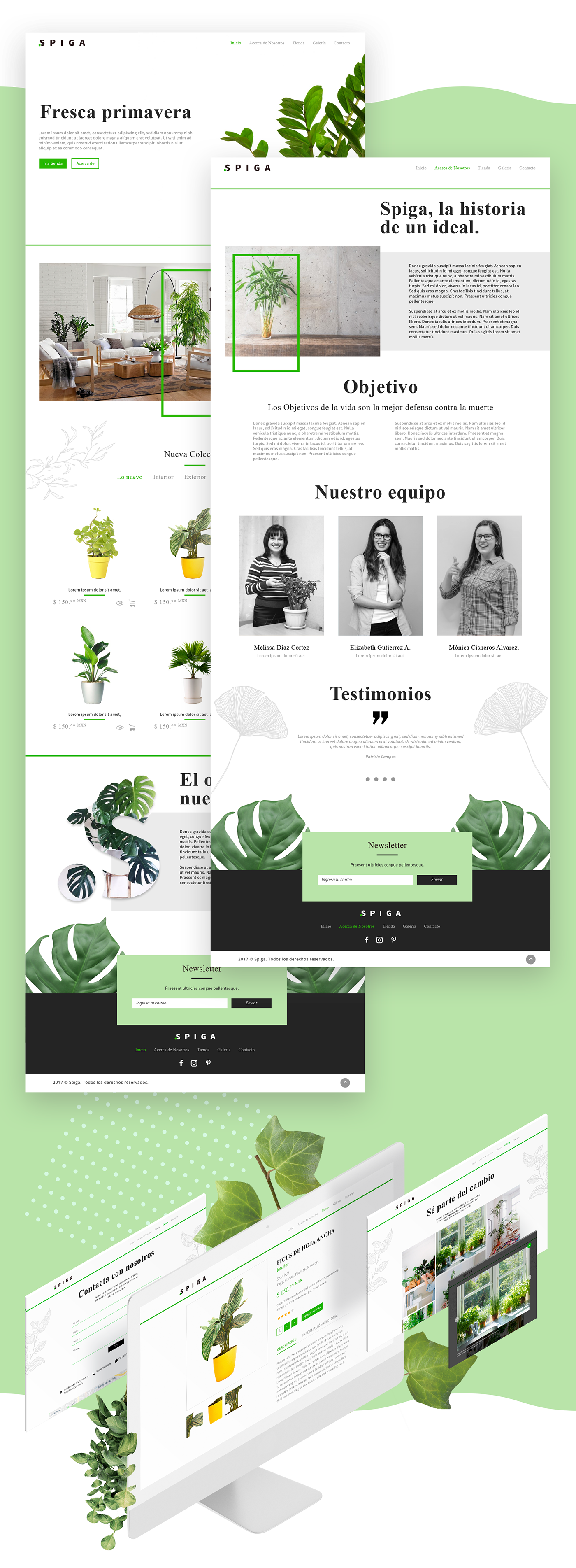 Ecommerce diseño pagina Web Webdesign developer Tiendaenlínea programación plants plantas