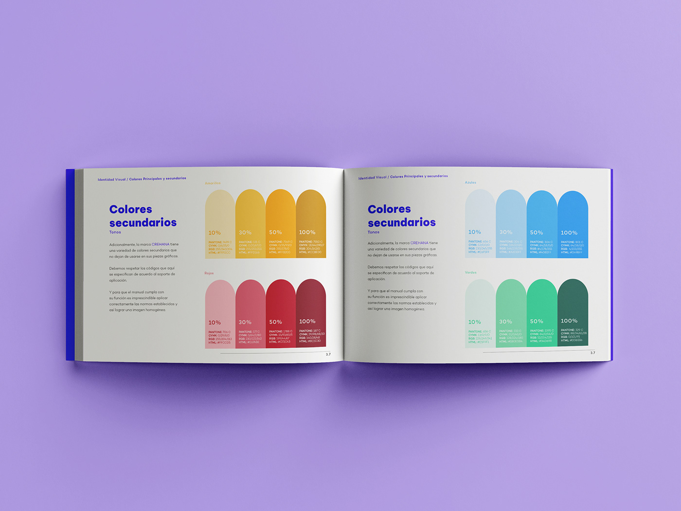 Brand Design brandbook crehana diseño gráfico identidad visual IPP Manual de Marca marca visual identity Identidad Corporativa