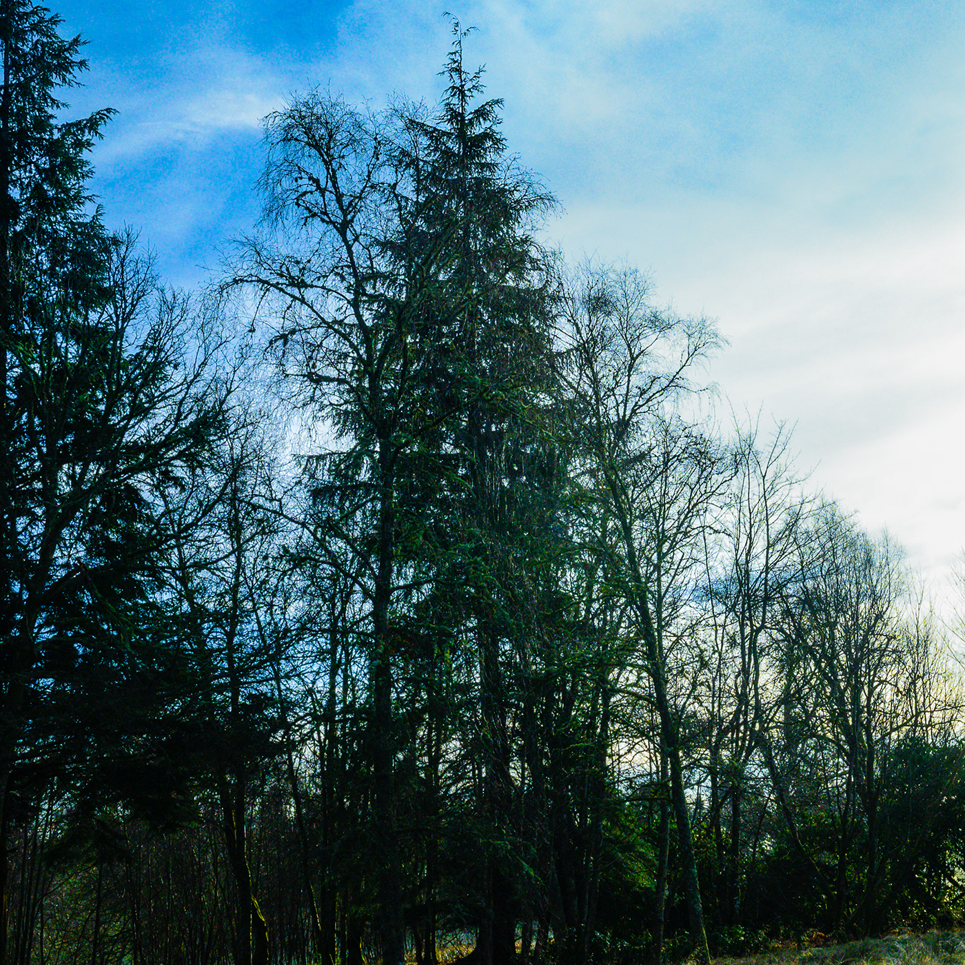 Castle Drymen loch lomond Photography  photoshoot scotland stirling Landscape Scottish Highlands Single Track