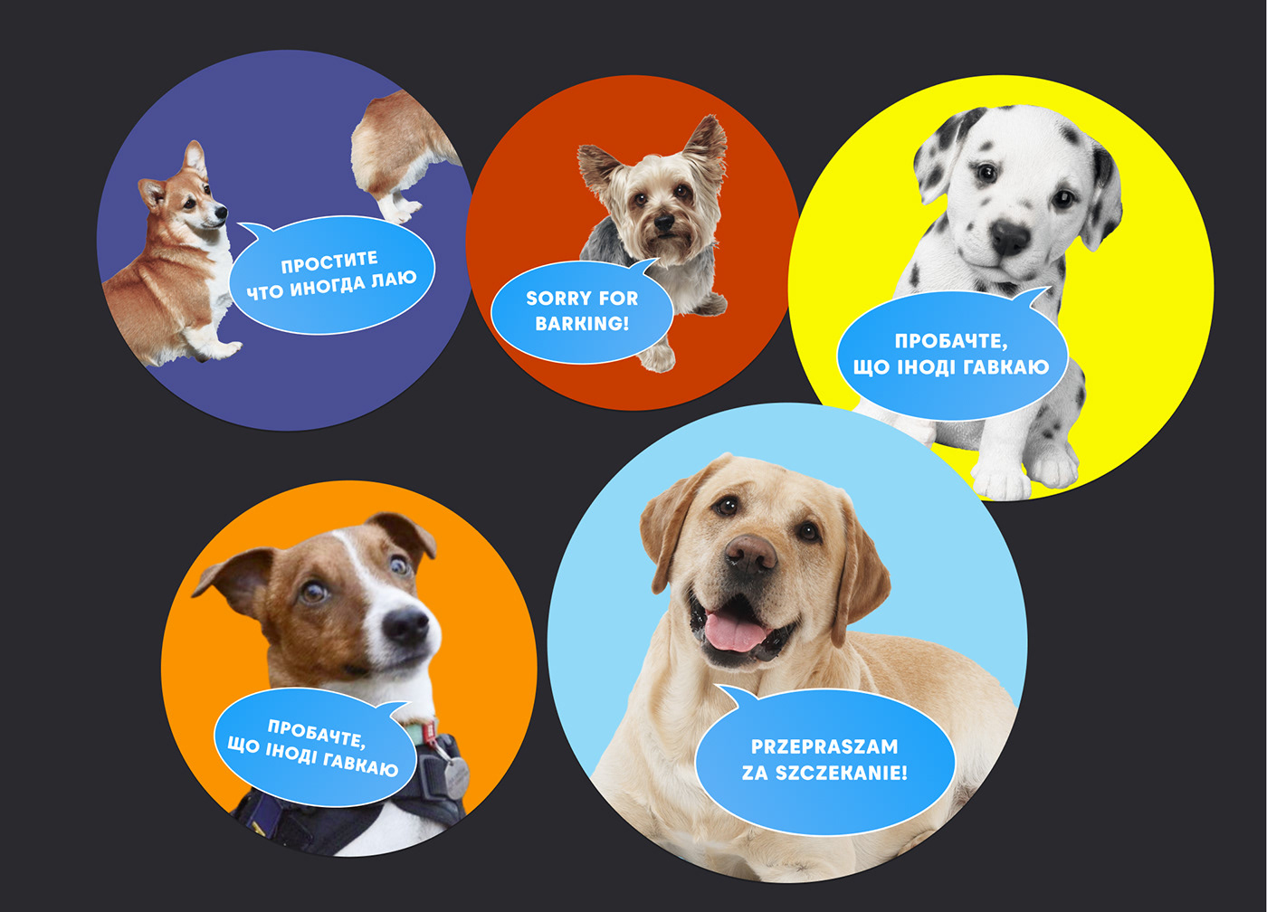 concept dogs idea Pet stickers стикеры