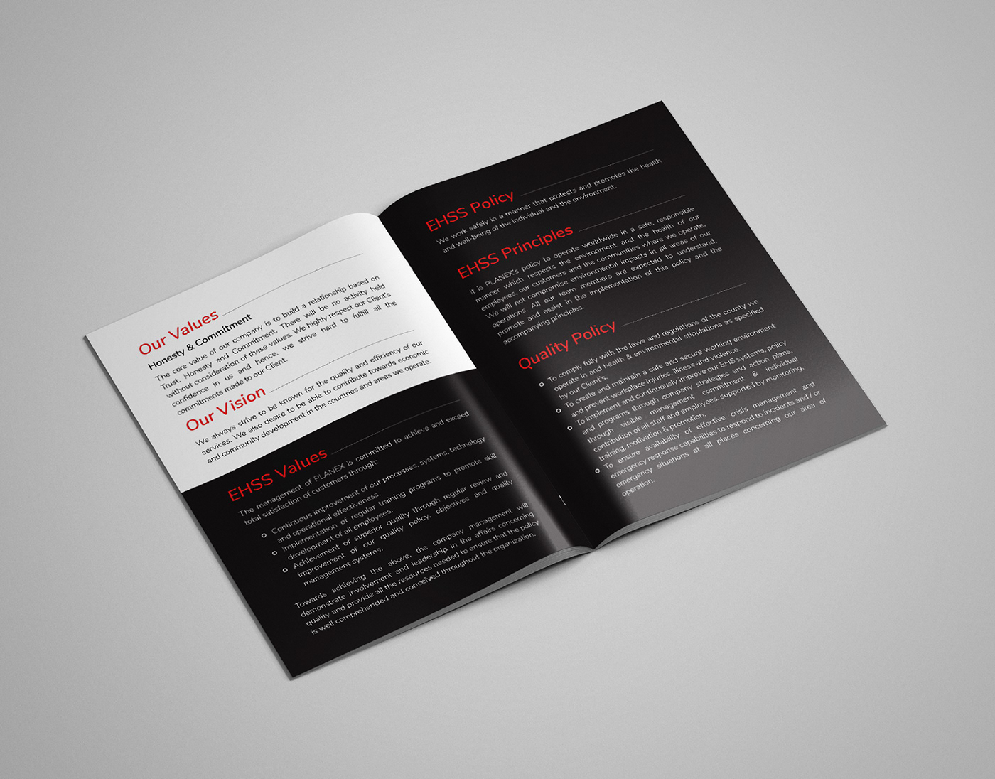 brochure brochure design brand identity Graphic Designer Brand Design identity logos