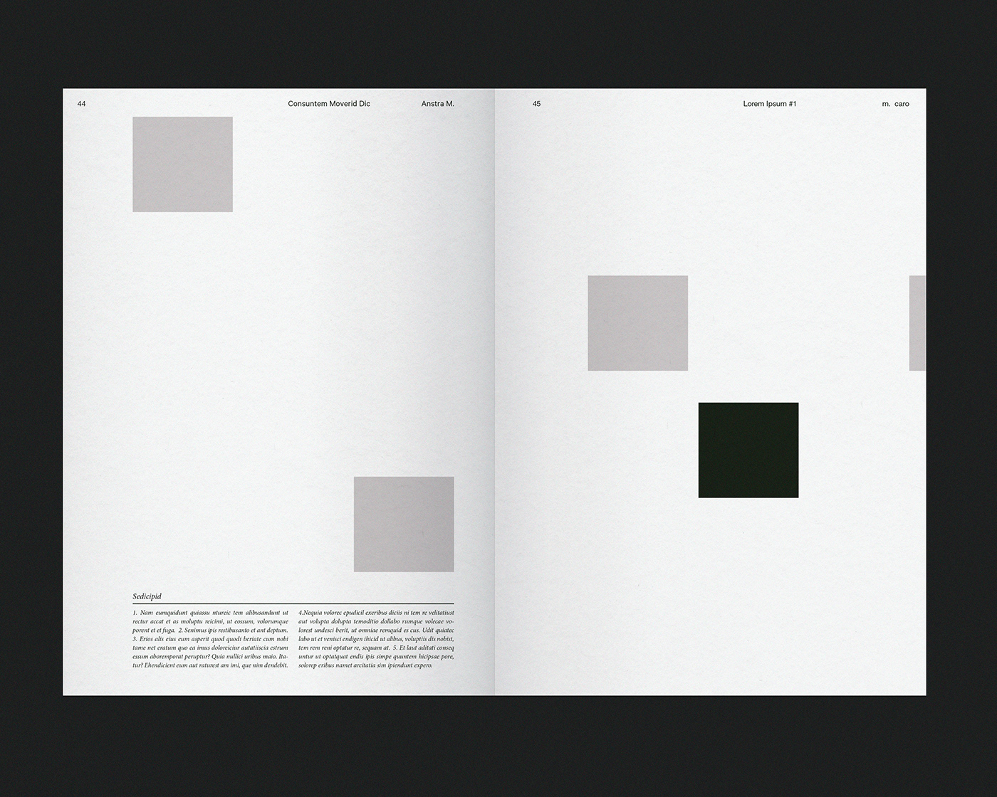 text typography   graphic design  editorial design fanzine artwork book design lorem ipsum