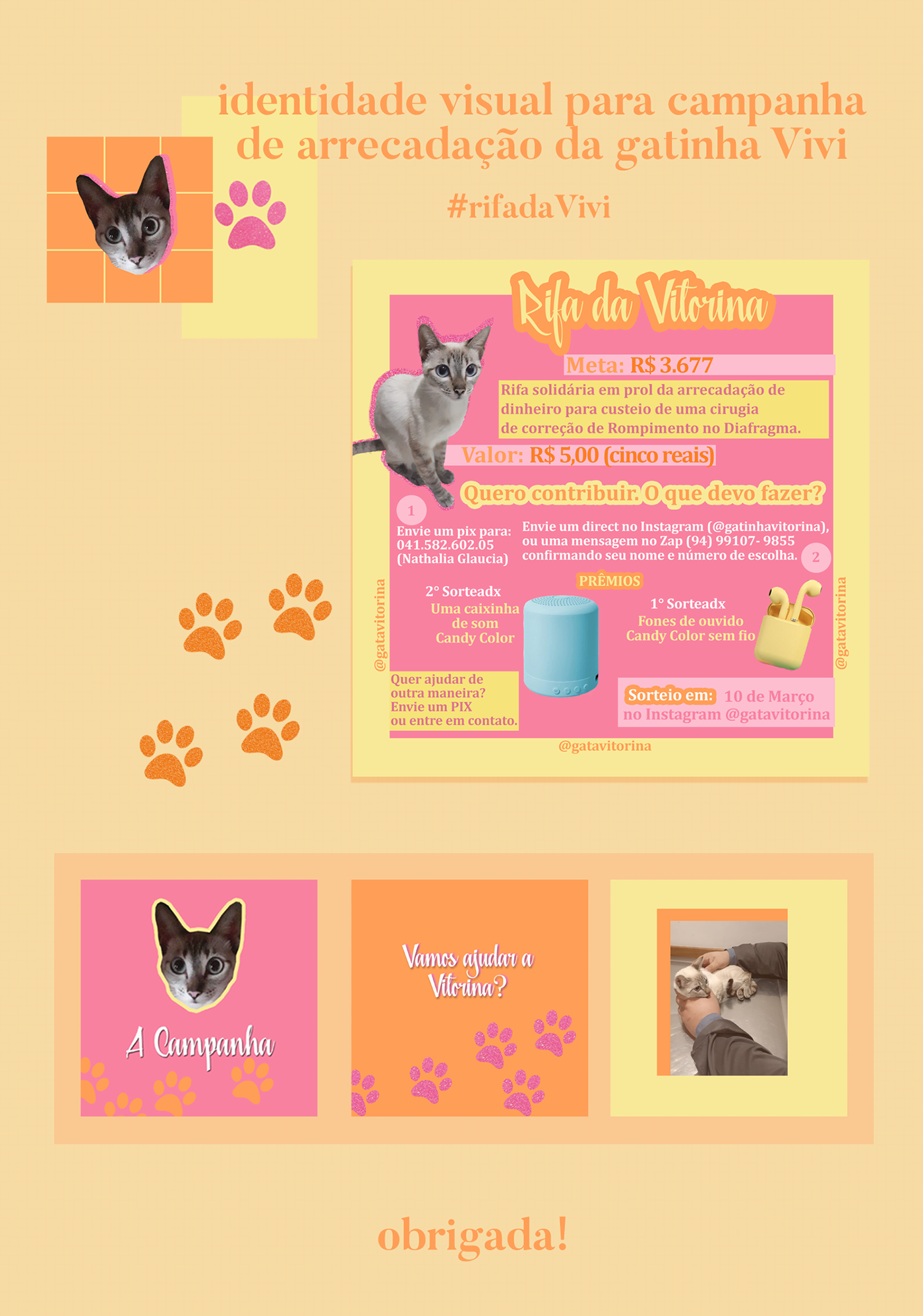 campanha candy color Cat photoshop Social Media Design