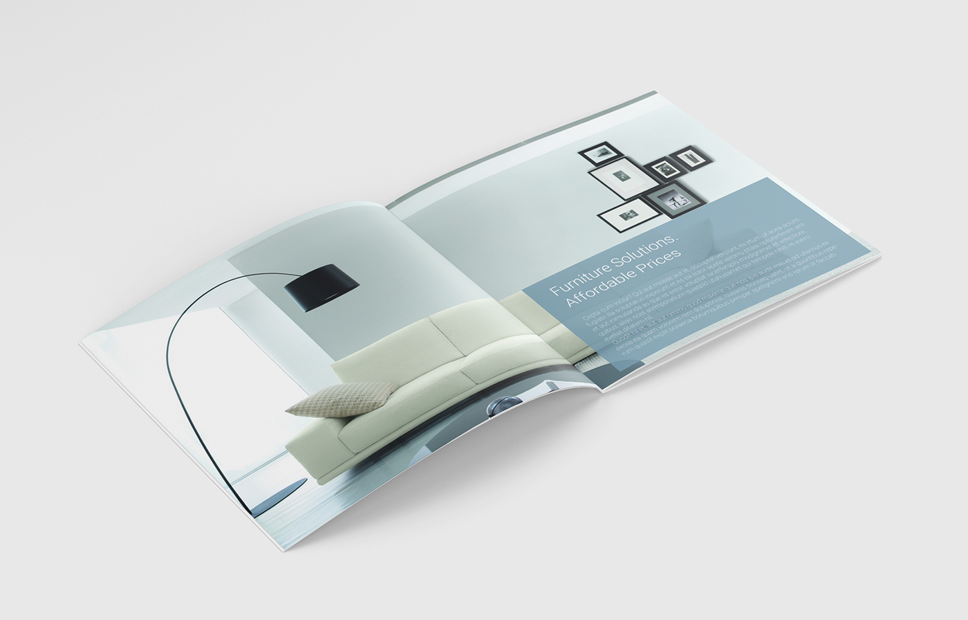 #Palid #mebel #catalogue   #Design #concept #Logo #furniture  #oak