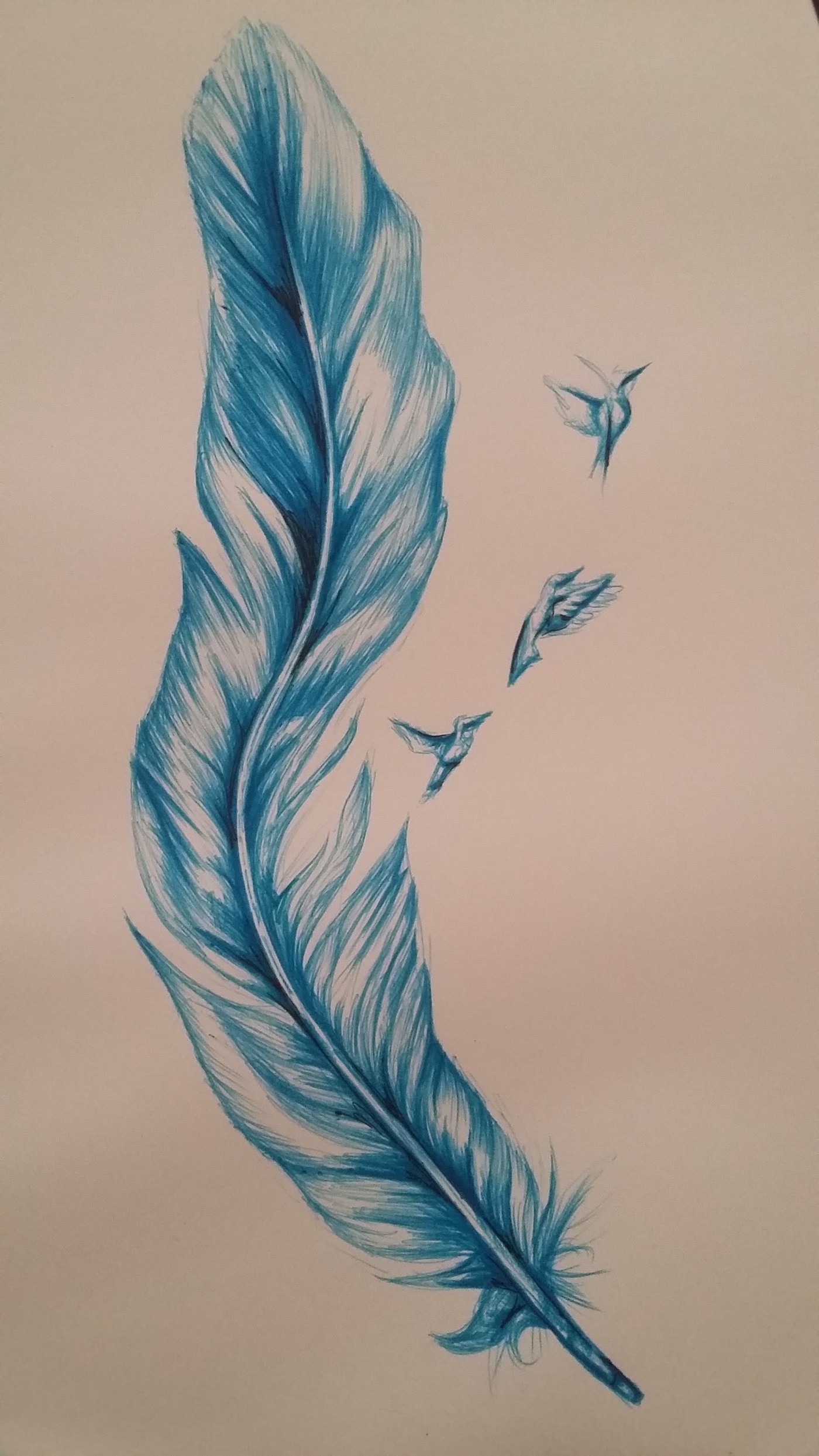 pen pencil colour pen feather birds Drawing  Colour drawing