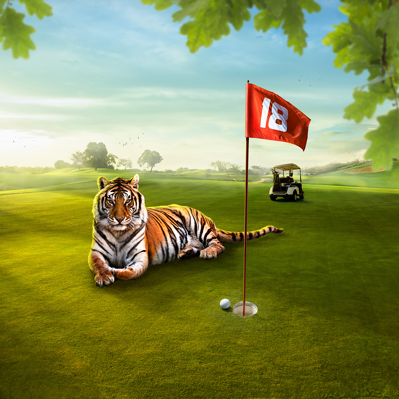 tiger golf field photomanipulation retouch visual