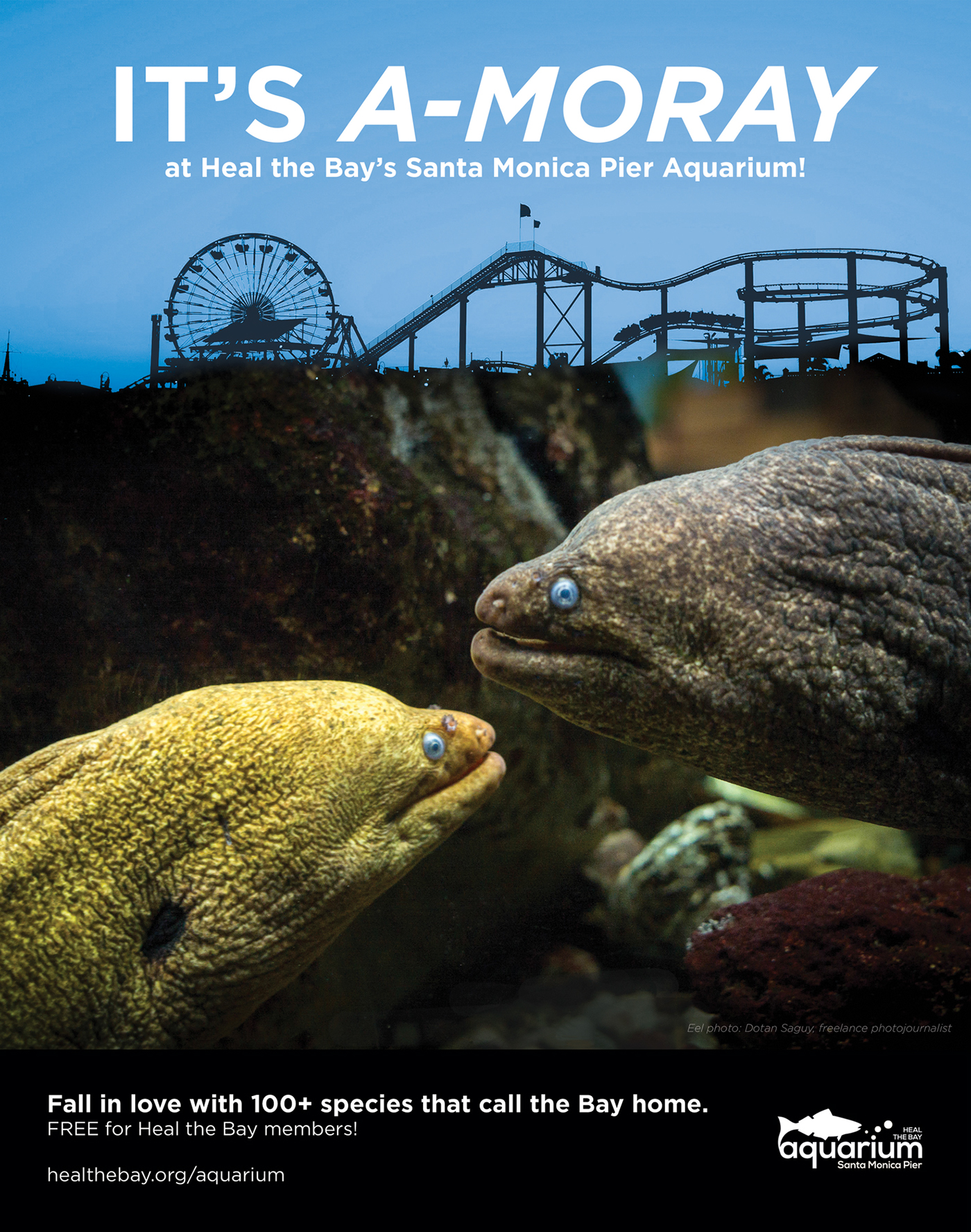 Ocean nonprofit environment aquarium NGO activist California