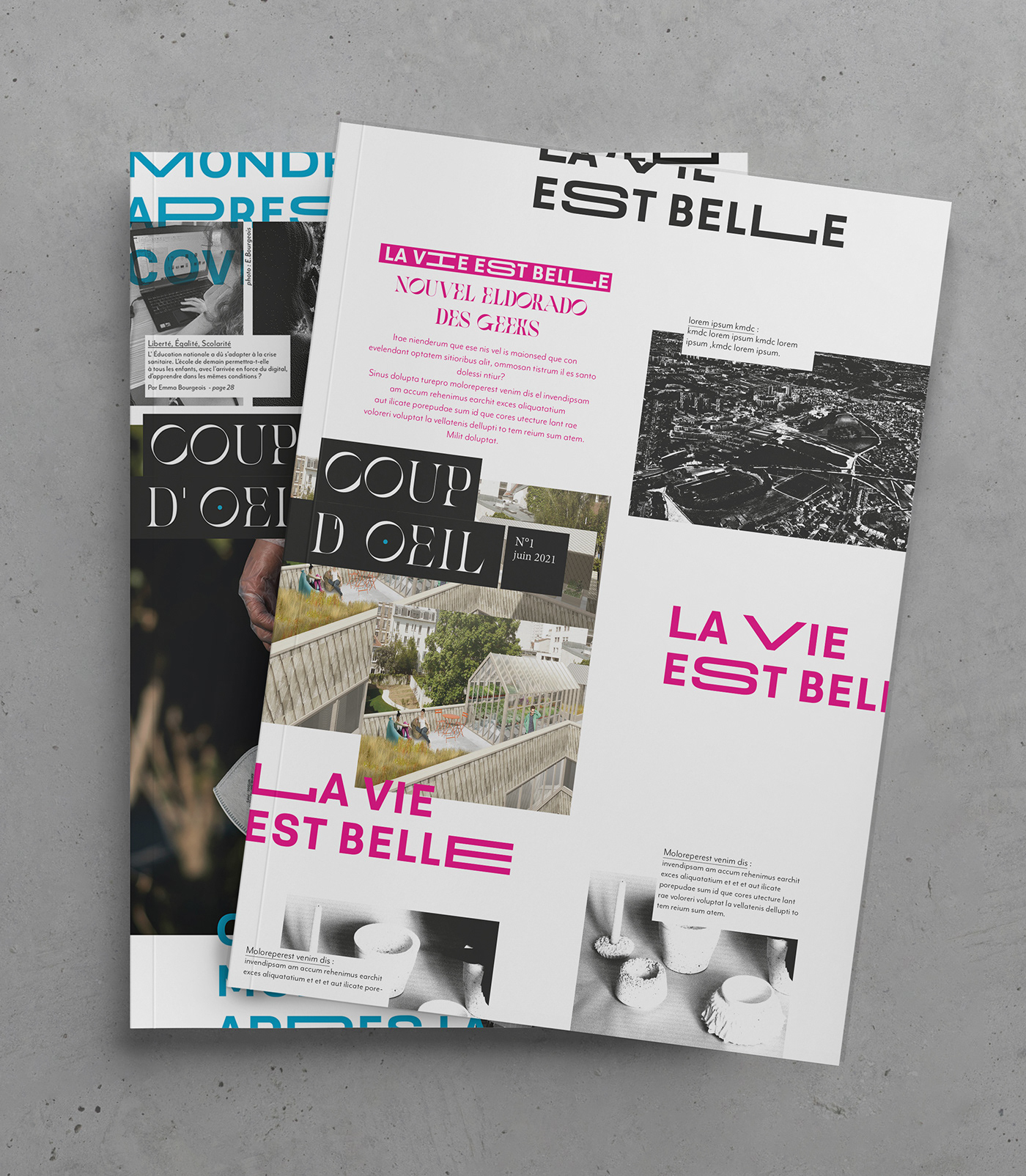 actuality book cover design editorial edition Layout magazine mise en page press Typographie