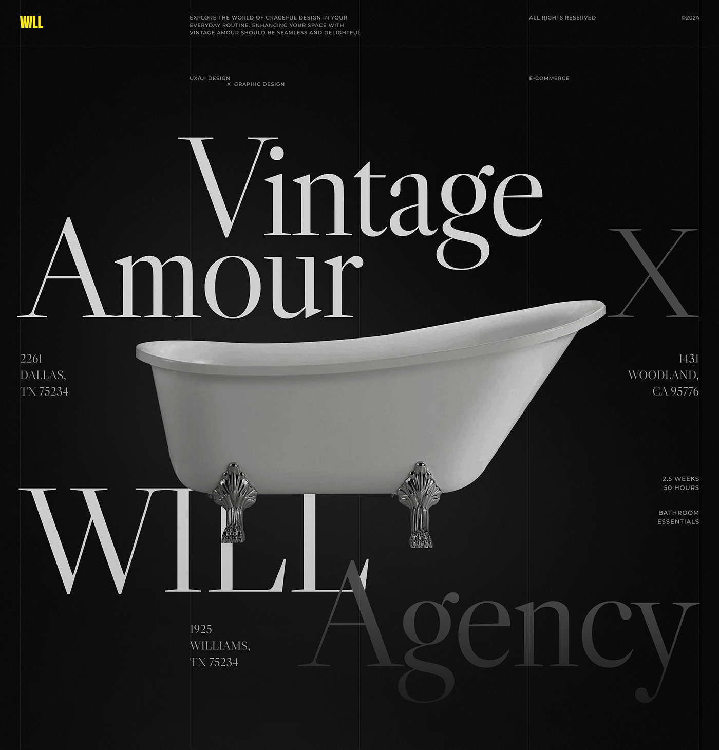 Ecommerce Website Web Design  UI/UX landing page Figma branding  Logo Design visual identity