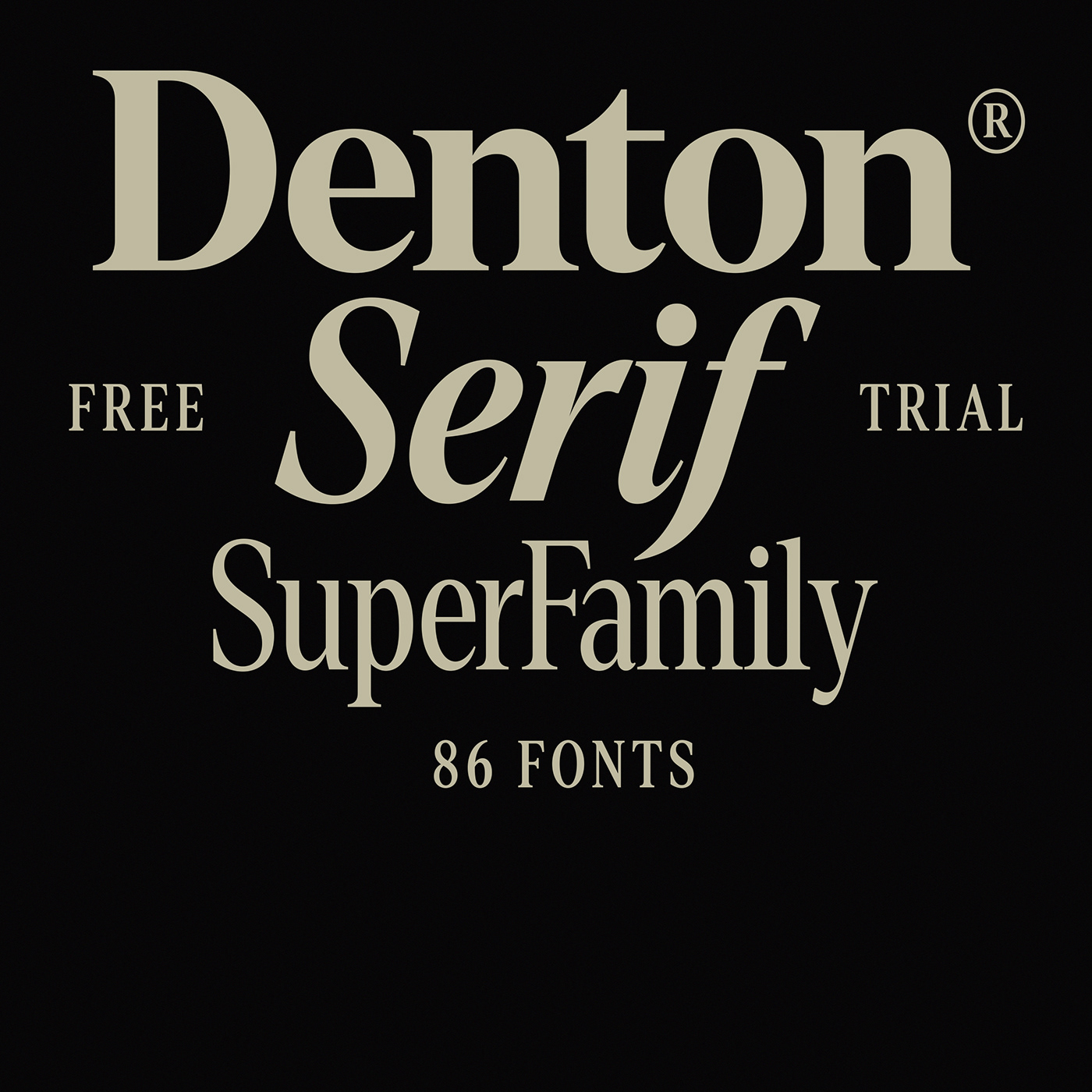 70s 80s font free identity modern Retro serif Typeface typography  