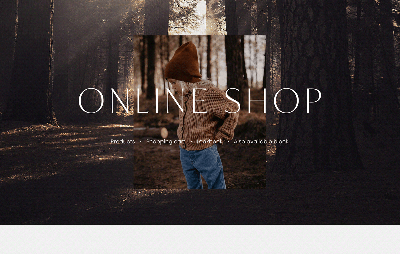 animation  clothes design e-commerce Fashion  graphic design  user experience user interface ux/ui design Website