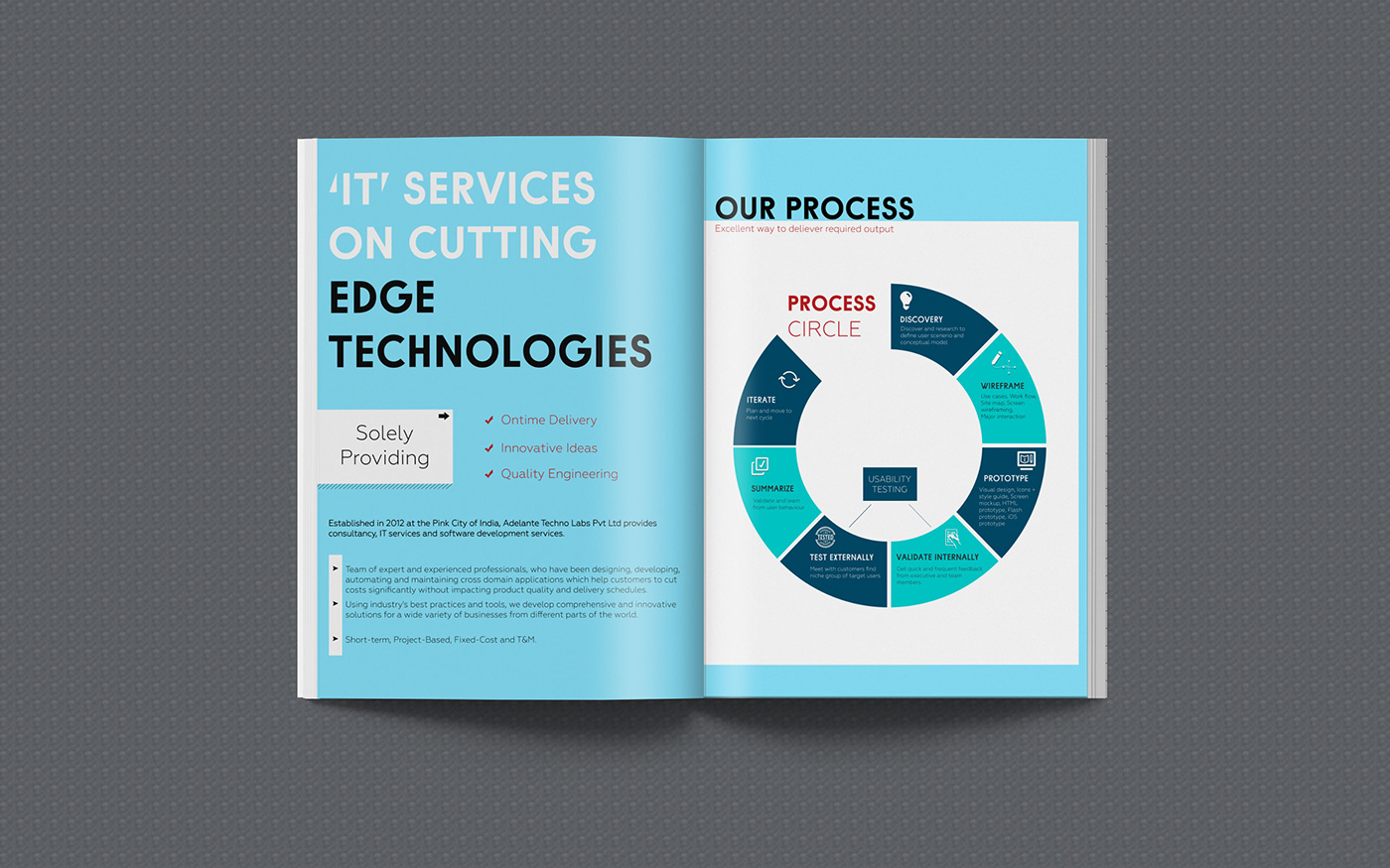 brochure branding  ILLUSTRATION  IT company ebook graphic