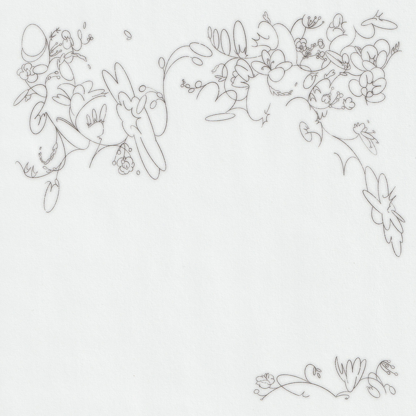 botanical Drawing  floral linear minimal