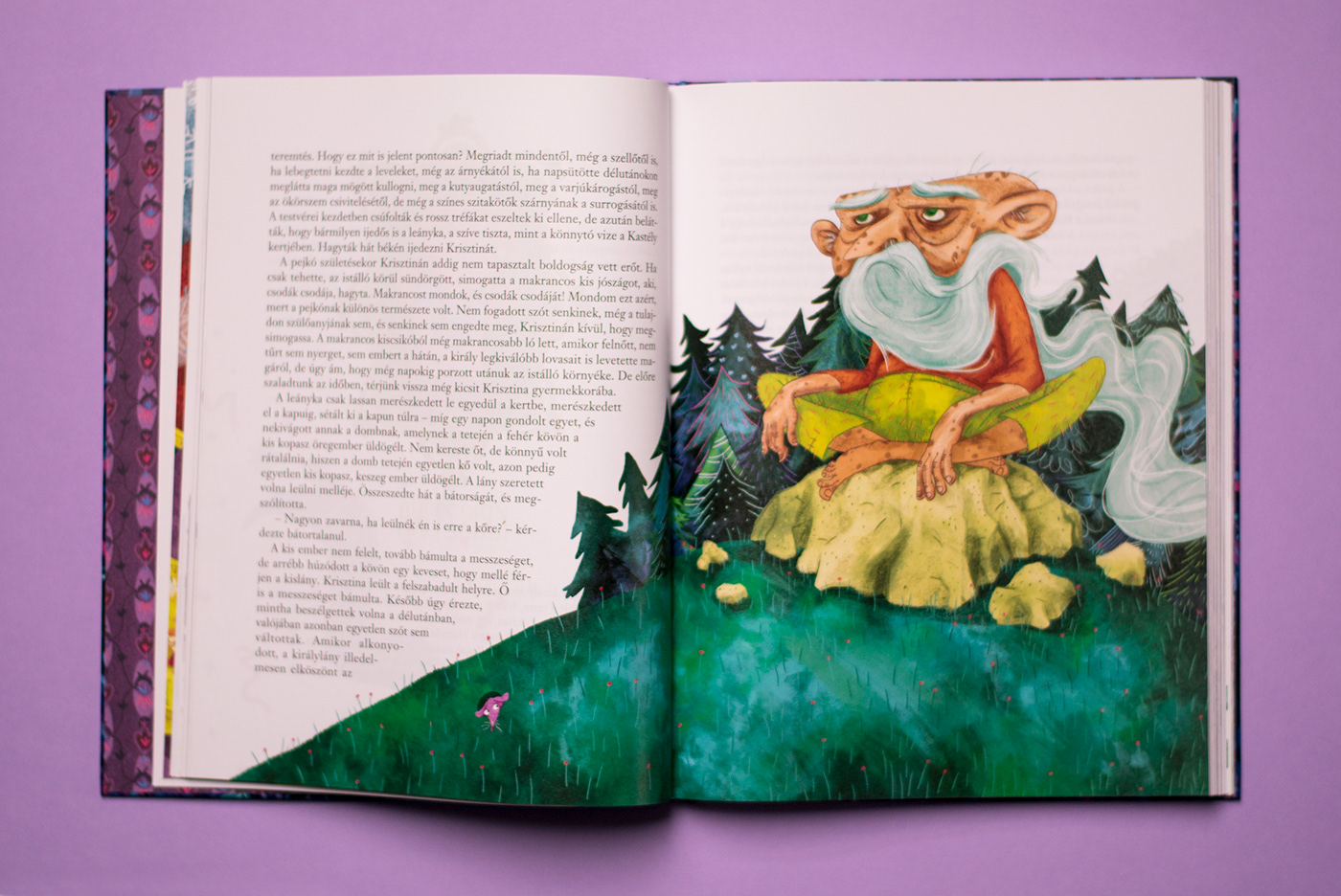 ILLUSTRATION  graphic design  Character design  childrenbook Bookdesign esztermetzing book bookcover thebookofprincesses királylányokmásodikkönyve