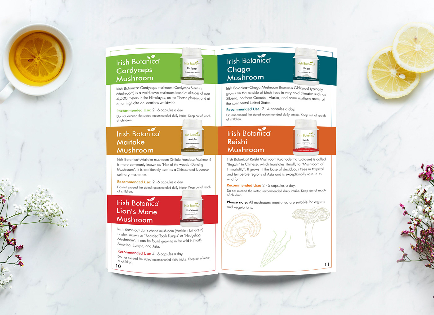 leaflet brochure Medicinal healthproducts natural pointofsale print herbalrange irishbotanica Health