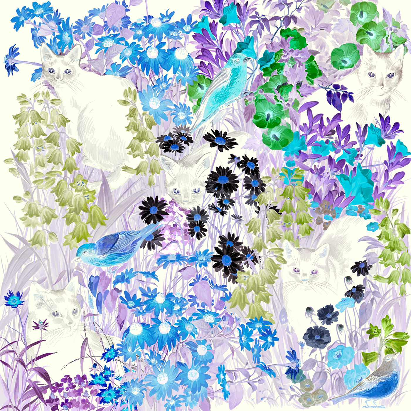 Cat flower print digital illustration painting   package