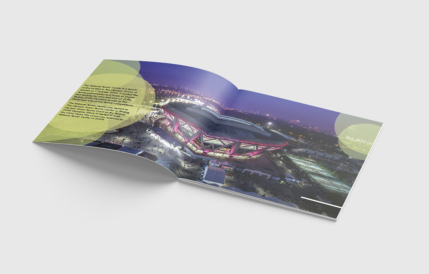 graphic design brochure typography   Layout