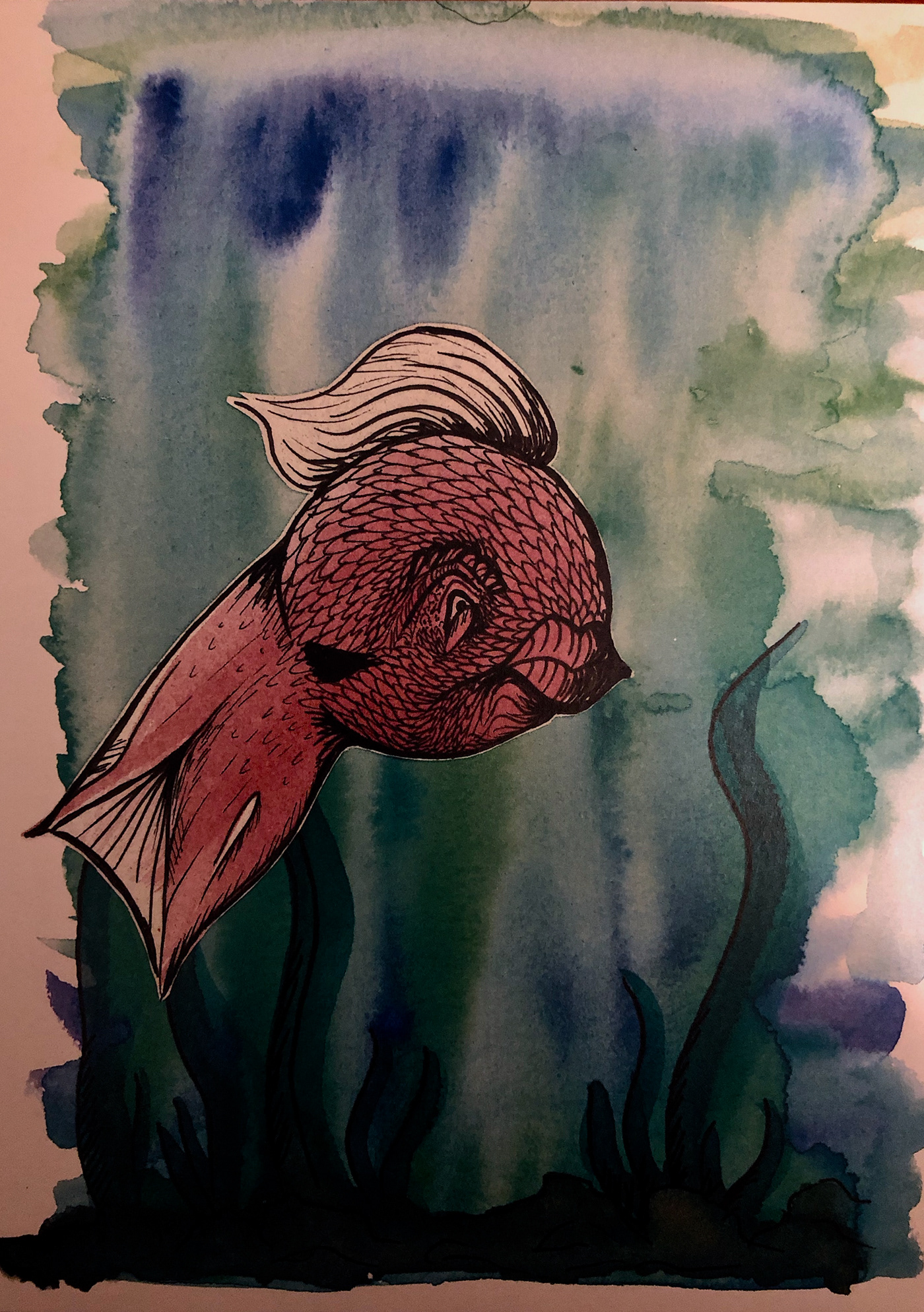 painting   watercolor fish characters Drawing  ILLUSTRATION 