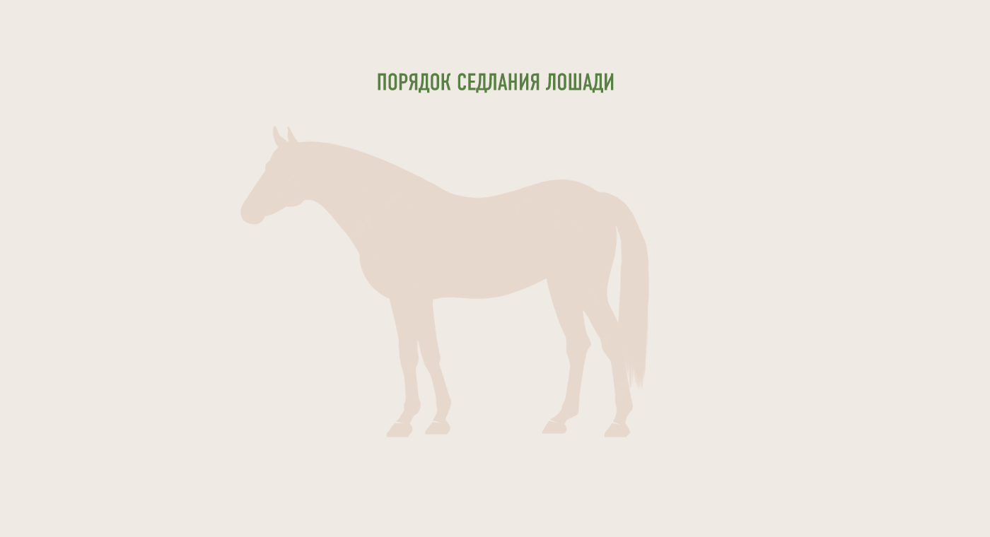 horse infographics kyrgyzstan nomad saddle инфографика конь кочевник Кыргызстан лошадь