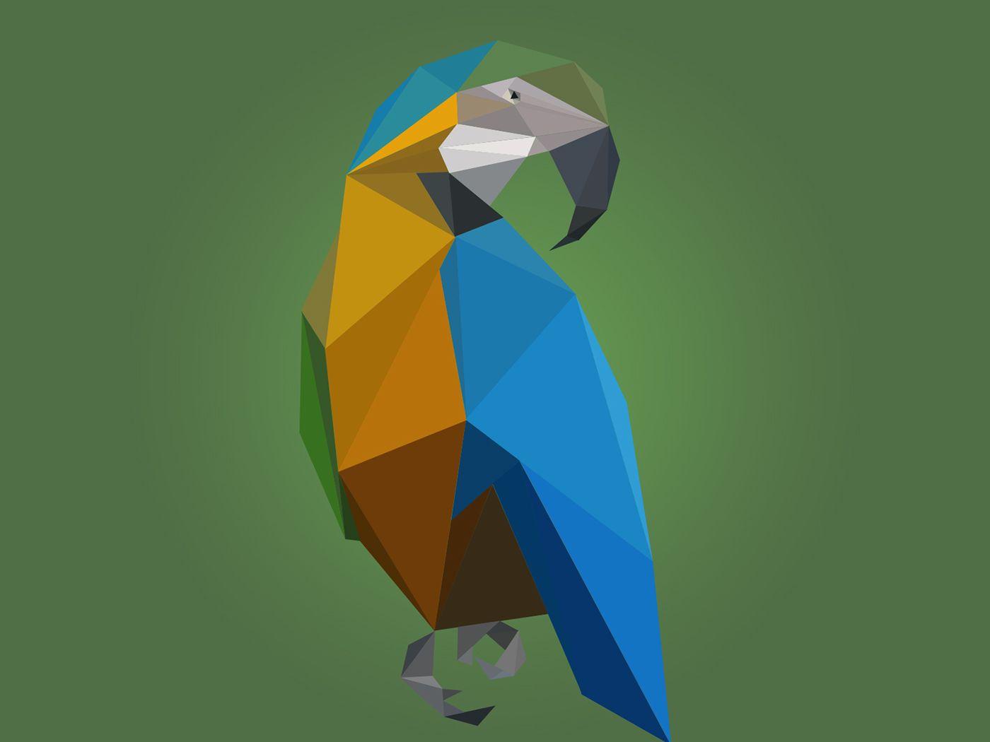 lowpoly LOW poly polygonal art digital parrot design ILLUSTRATION 