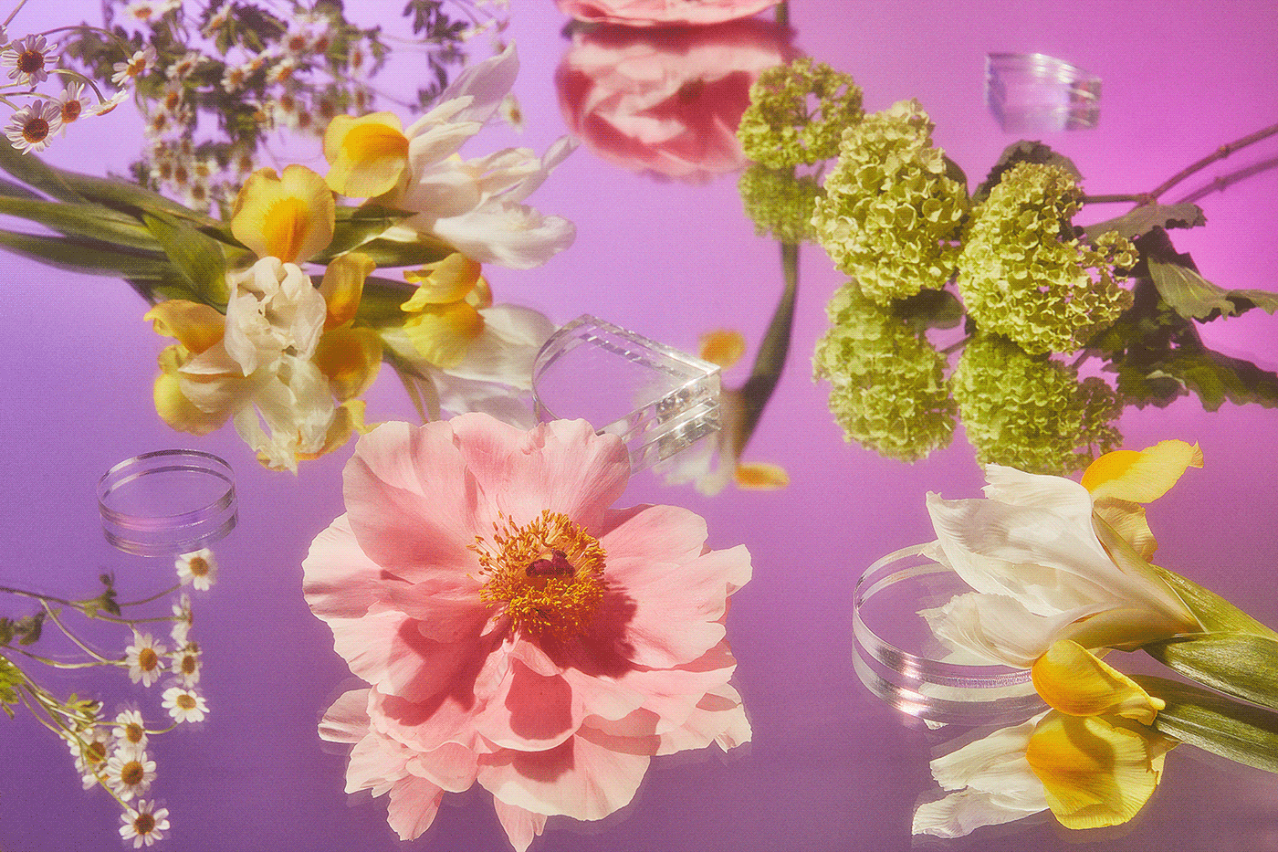 art direction  branding  cherry floral glow jello Photography  plastic Retro still life