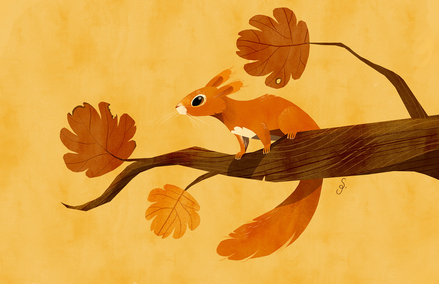 animal artwork autumn Digital Art  digital illustration Fall ILLUSTRATION  squirrel