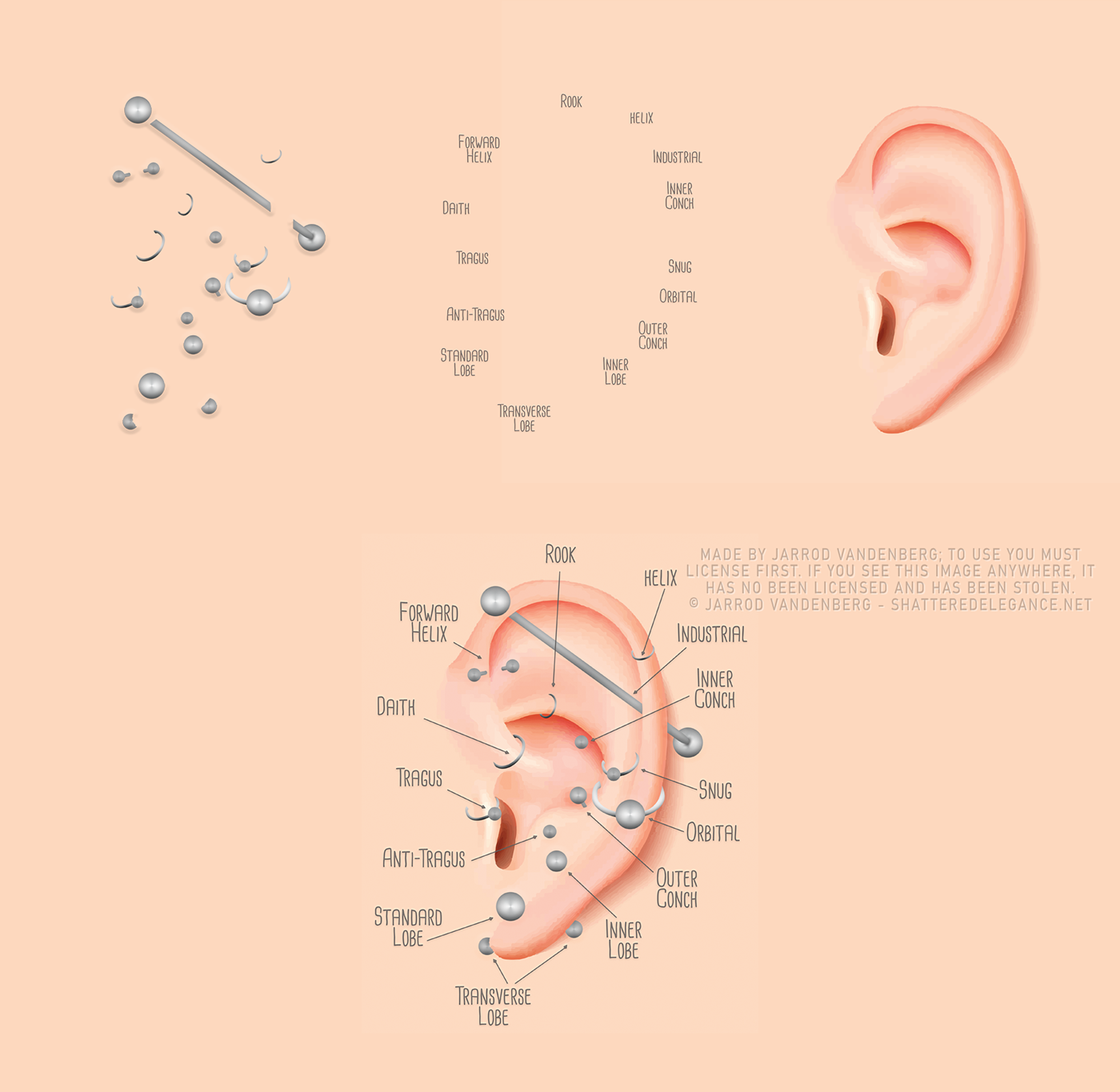 ear piercing piercings chart infographic Illustrative printable professional modern Body Jewelry pierced