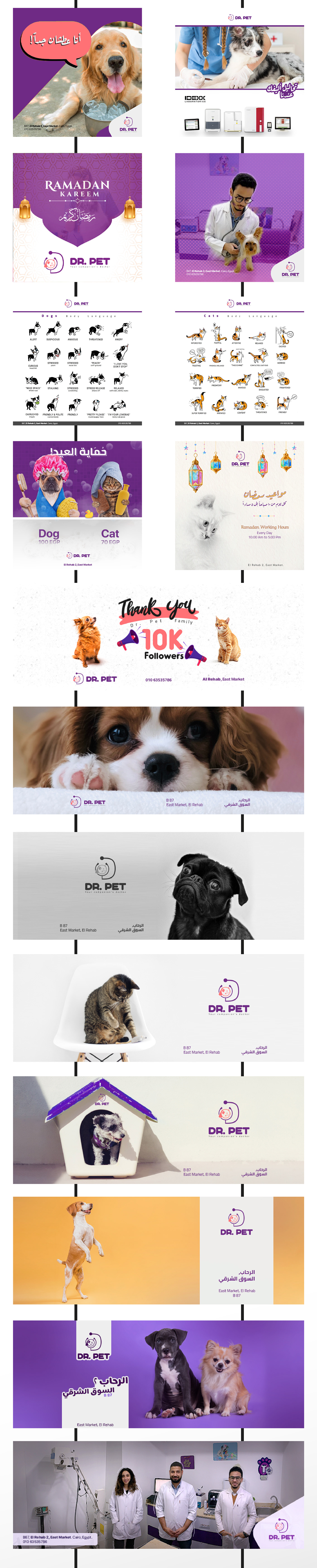 brand identity design flyer marketing   Photography  Social media post Socialmedia Pet vet clinic veterinary