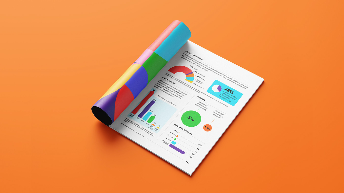 data visualization editorial editorial design  graphic design  Layout print report