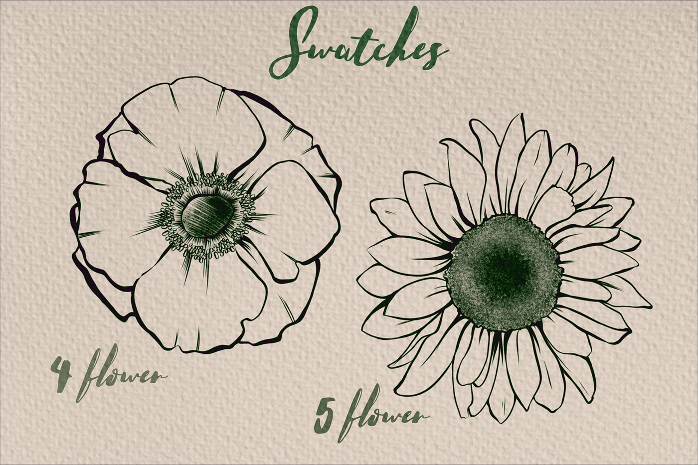 Digital Art  Digital Drawing flower stamps Flowers ILLUSTRATION  procreate brushes Procreate Drawing procreate stamps