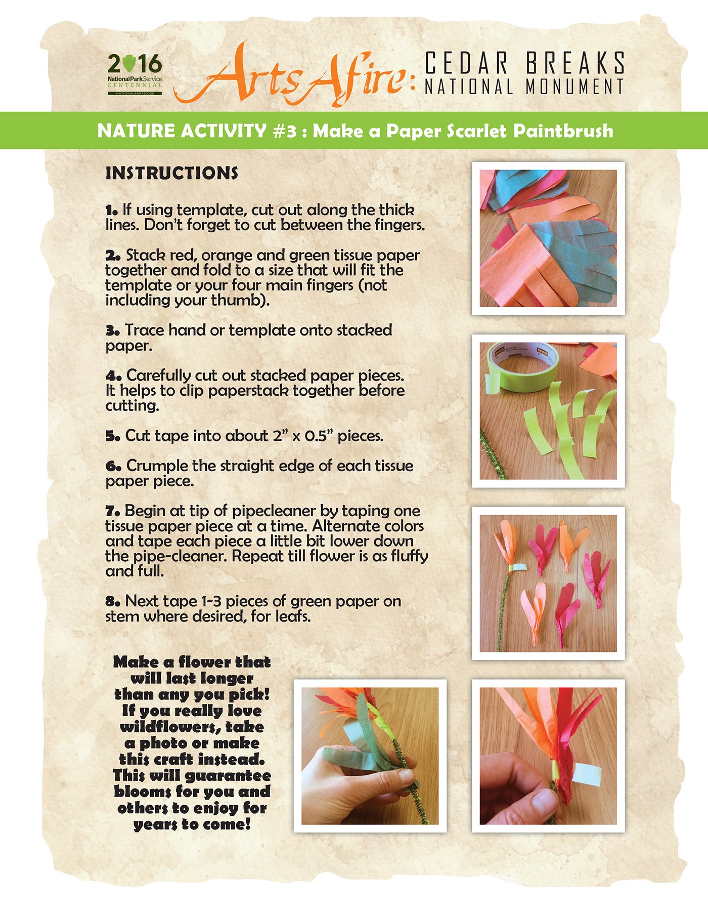 art art project craft instruction kids National Park Nature paintbrush paper craft wildflower