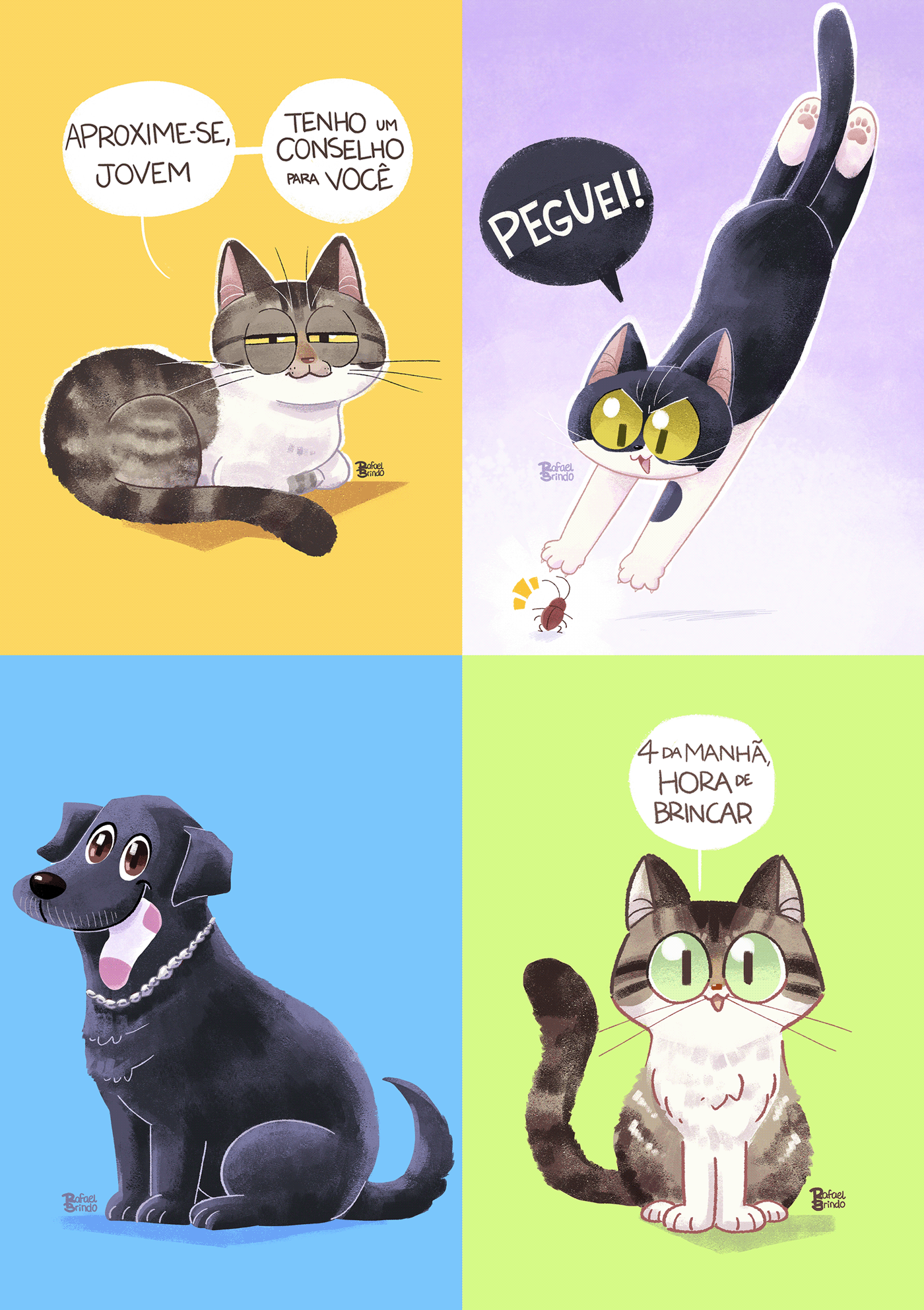 Cat Character design  children's book digital illustration dog Pet Ilustração ilustracion infantil pintura digital