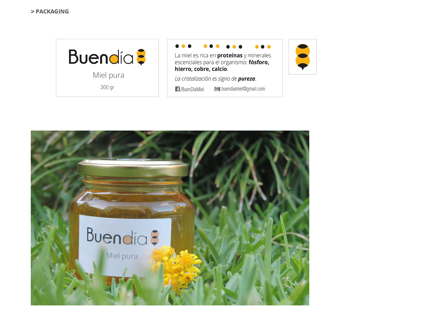 branding  logo corporative honey brief Startup