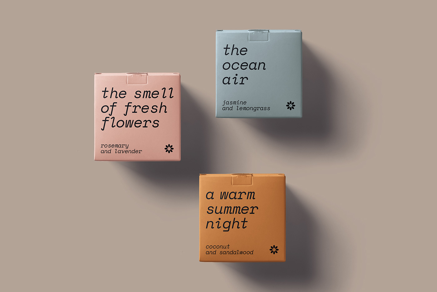 brandidentity branding  Branding design calm Ethical Logo Design Packaging Sustainable typography   visual identity