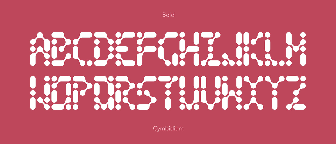 Typeface student ied typography   Cymbidium