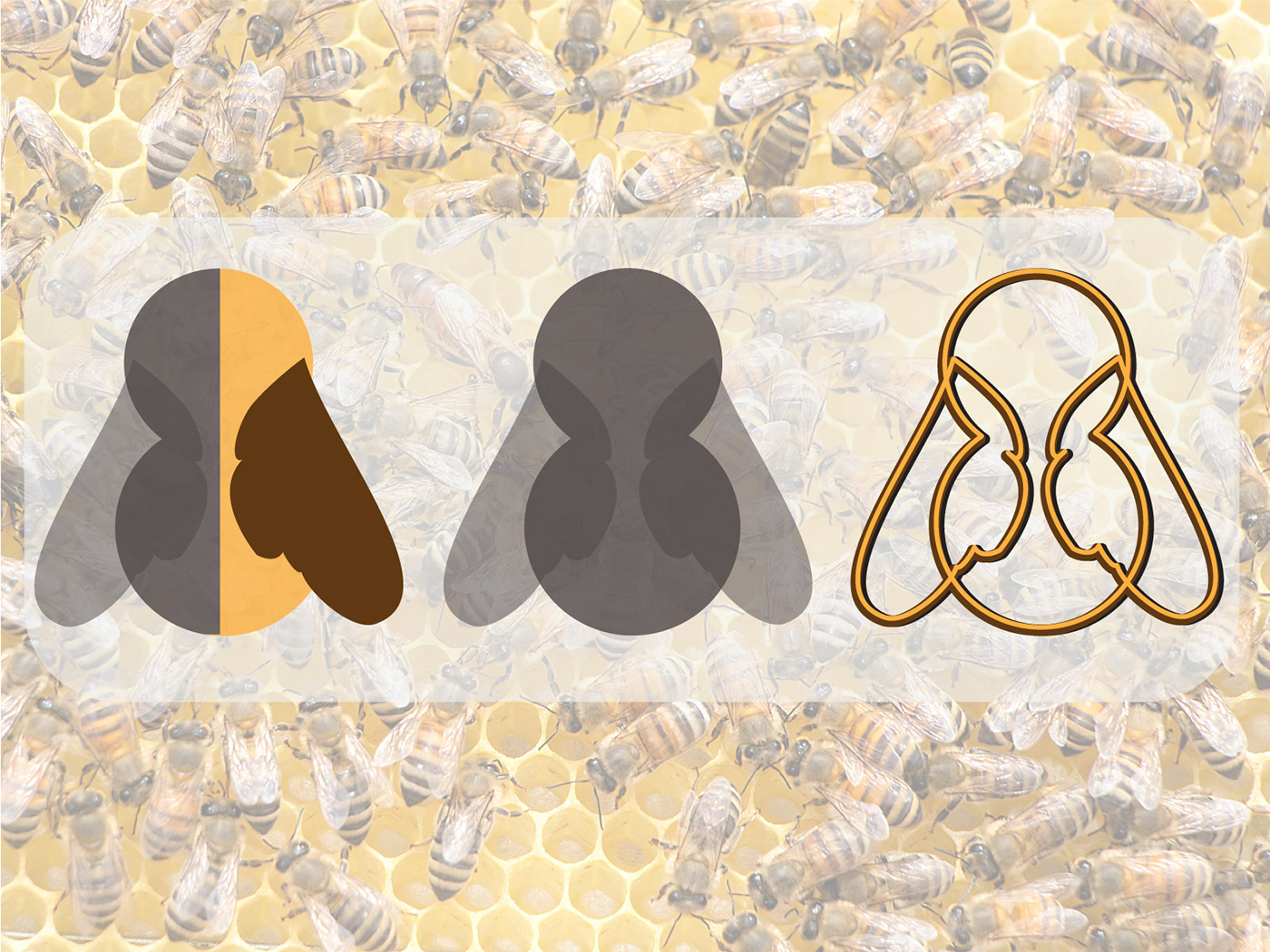 Logotype Logo Design visual identity design Label Packaging product design  honey Food  label design