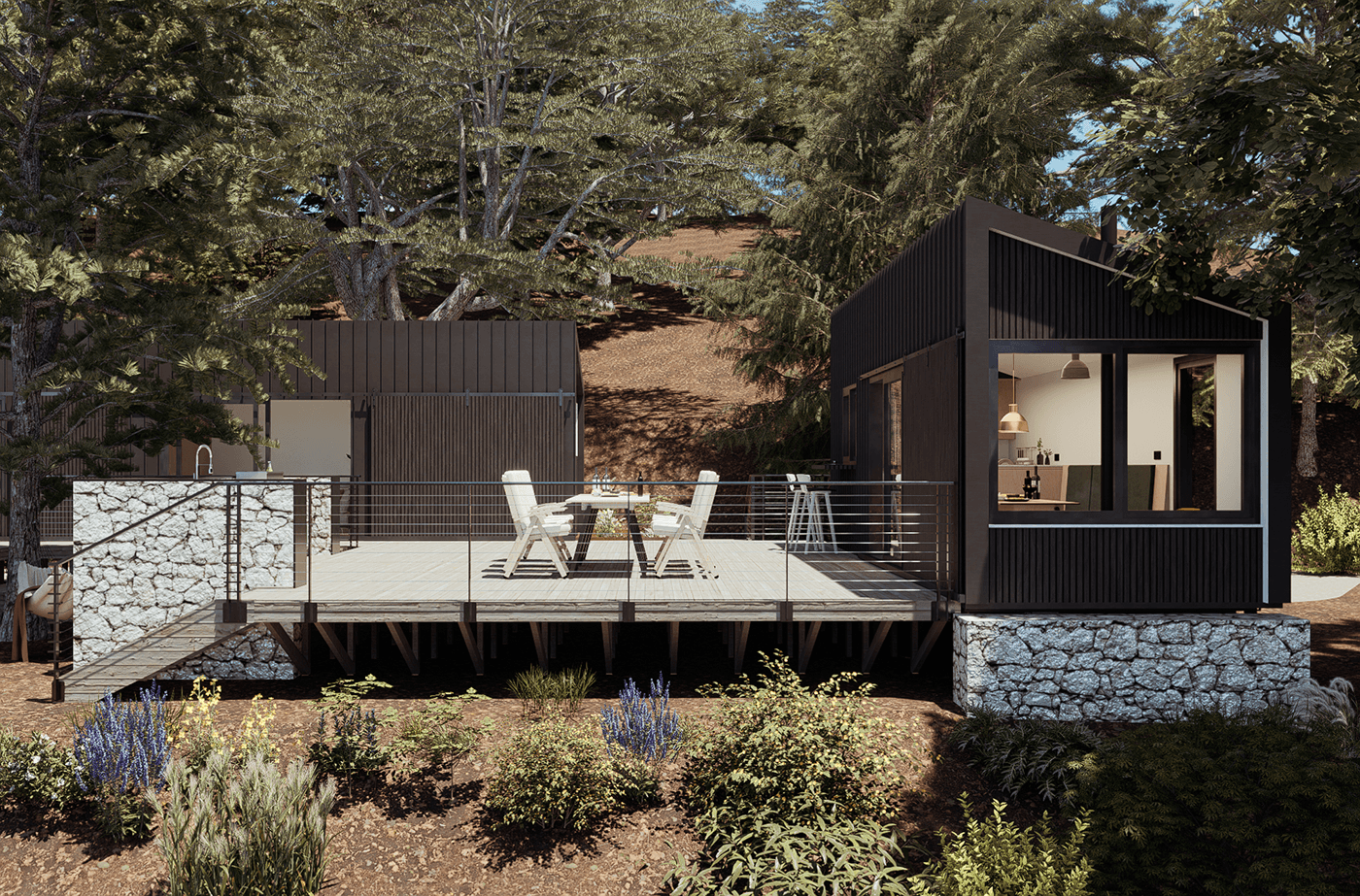 tiny house architecture Render exterior tiny houses living house visualization