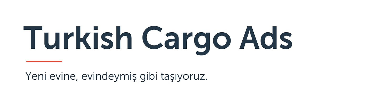 THY Cargo animal Fly zebra elephant box shipping transportation turkish Turkish Cargo Turkish Airlines turk havayolları Airlines