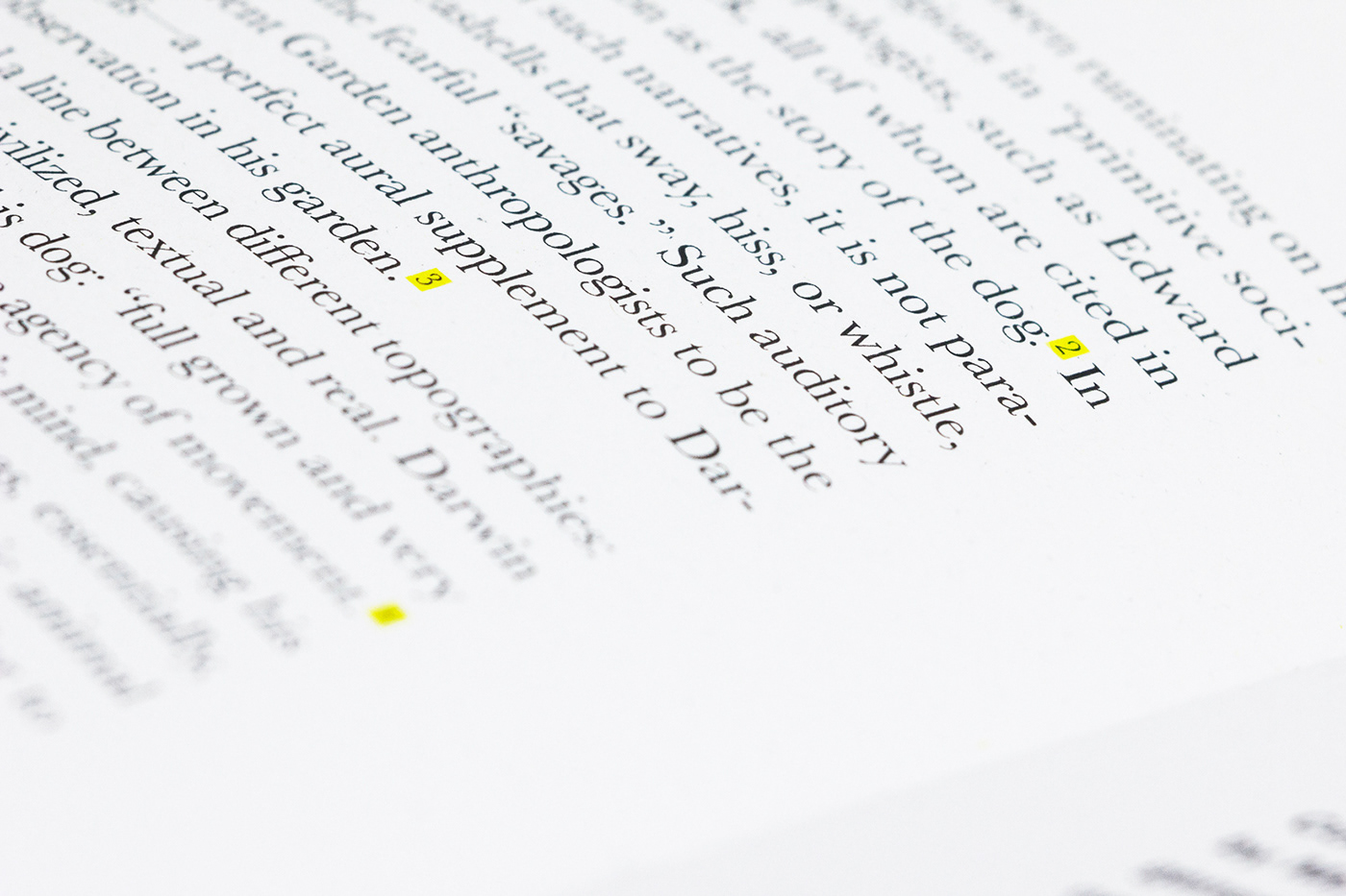 editorial yellow reflection typography   graphic design adobeawards