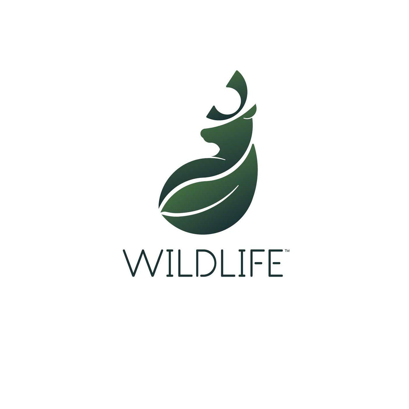 ThirtyLogos challenge wildlife logo Deer logo Green logo