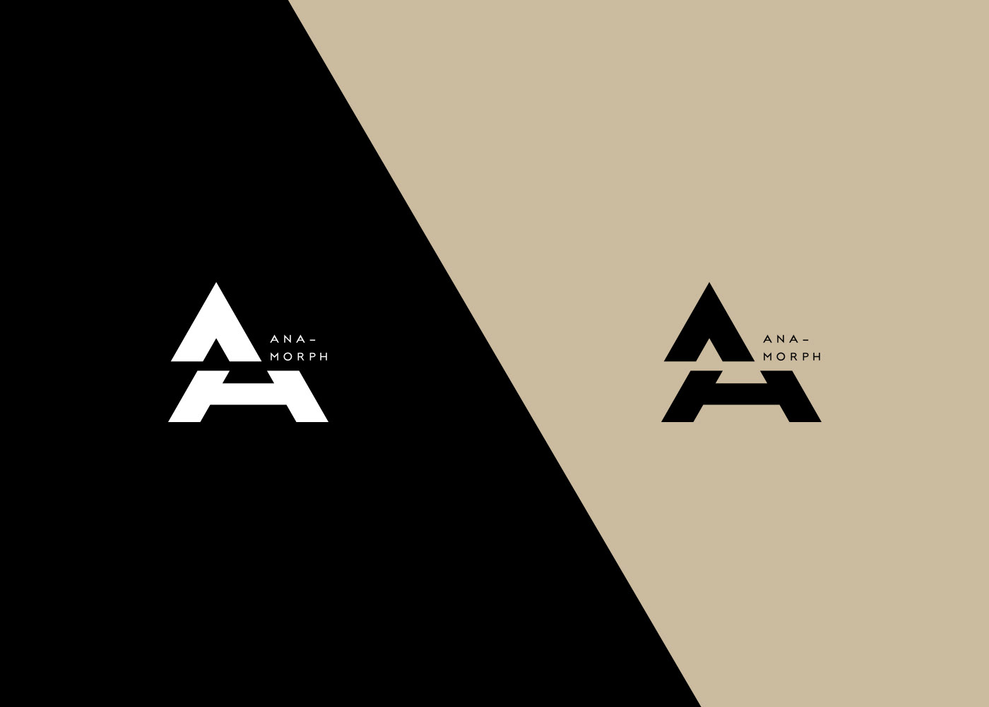 art direction  branding  design lens anamorphic logo typography   concept identity Packaging