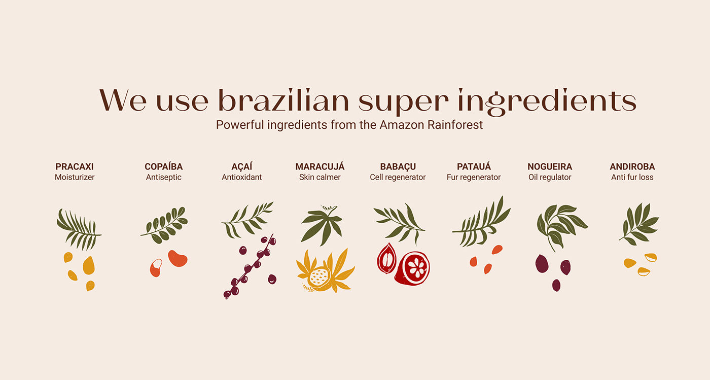 Brazil branding  natural Packaging Brand Design visual identity package packaging design brand identity ILLUSTRATION 